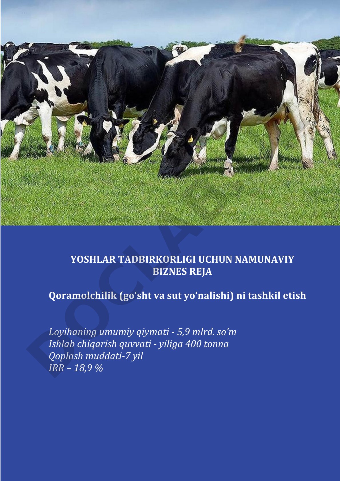 Qoramolchilik (go‘sht va sut yo‘nalishi) ni tashkil etish