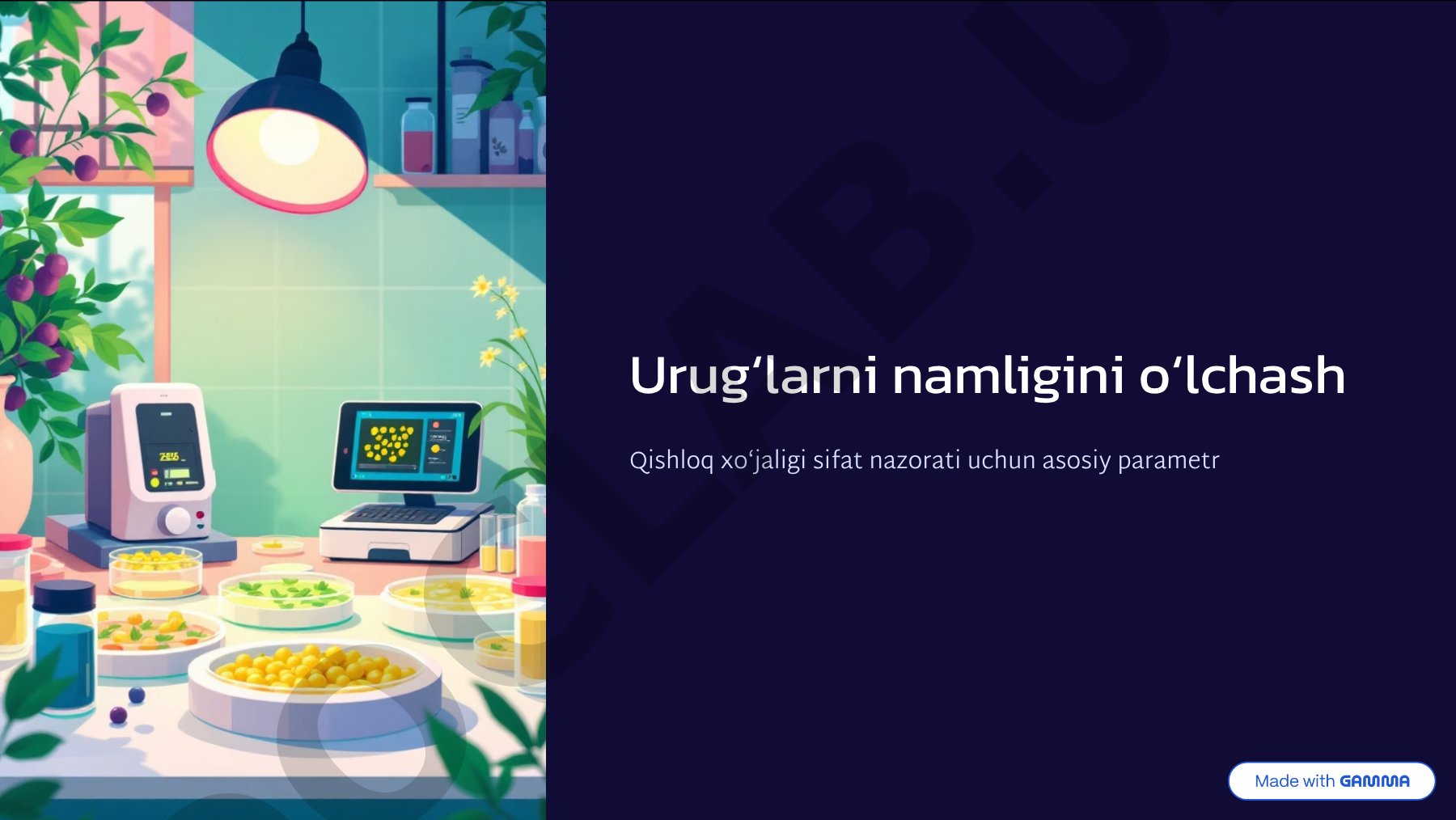 Qishloq xo'jaligida urug'larni namligini o'lchash usullari