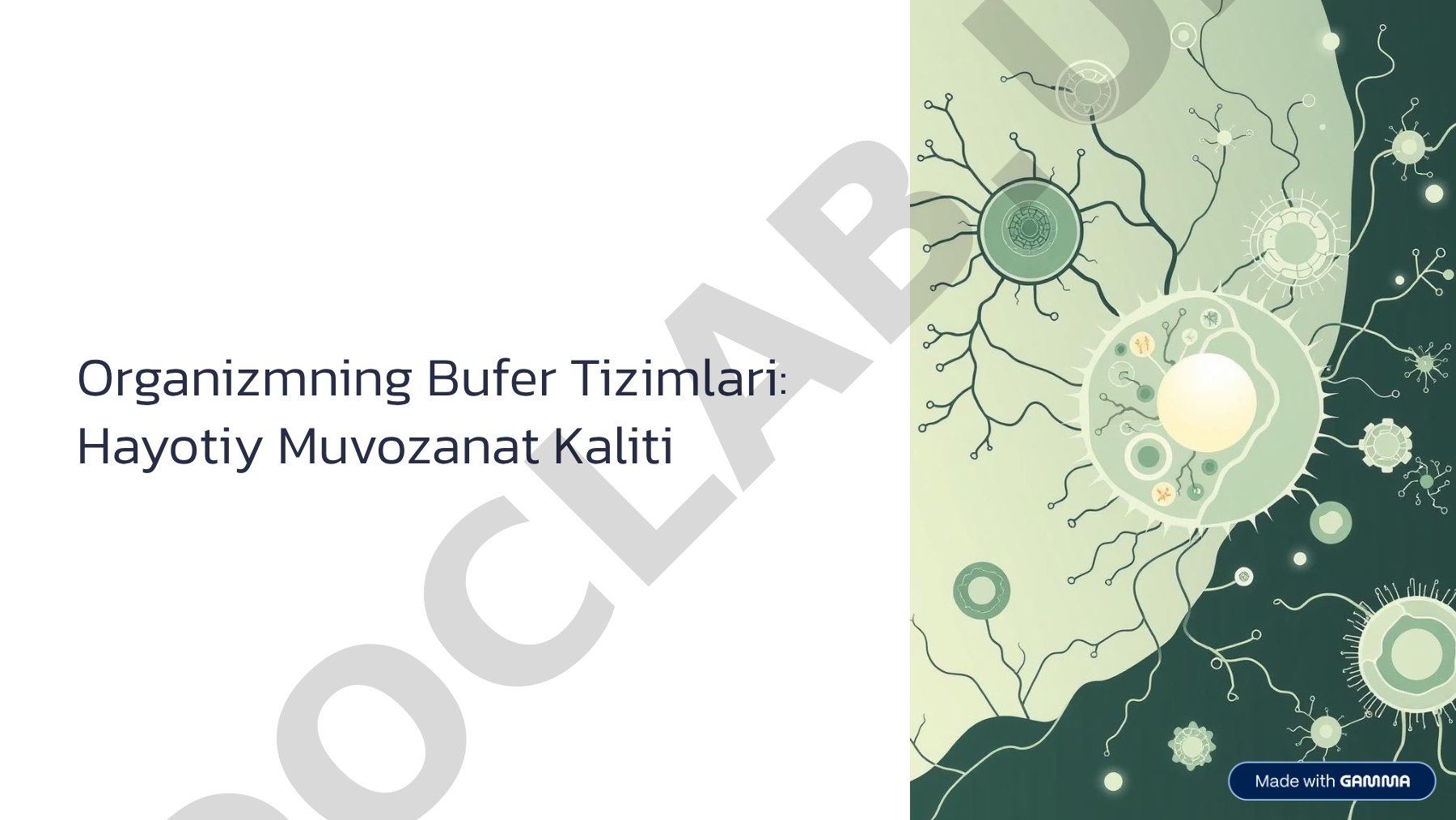 Organizmning Bufer Tizimlari: Hayotiy Muvozanat Kaliti