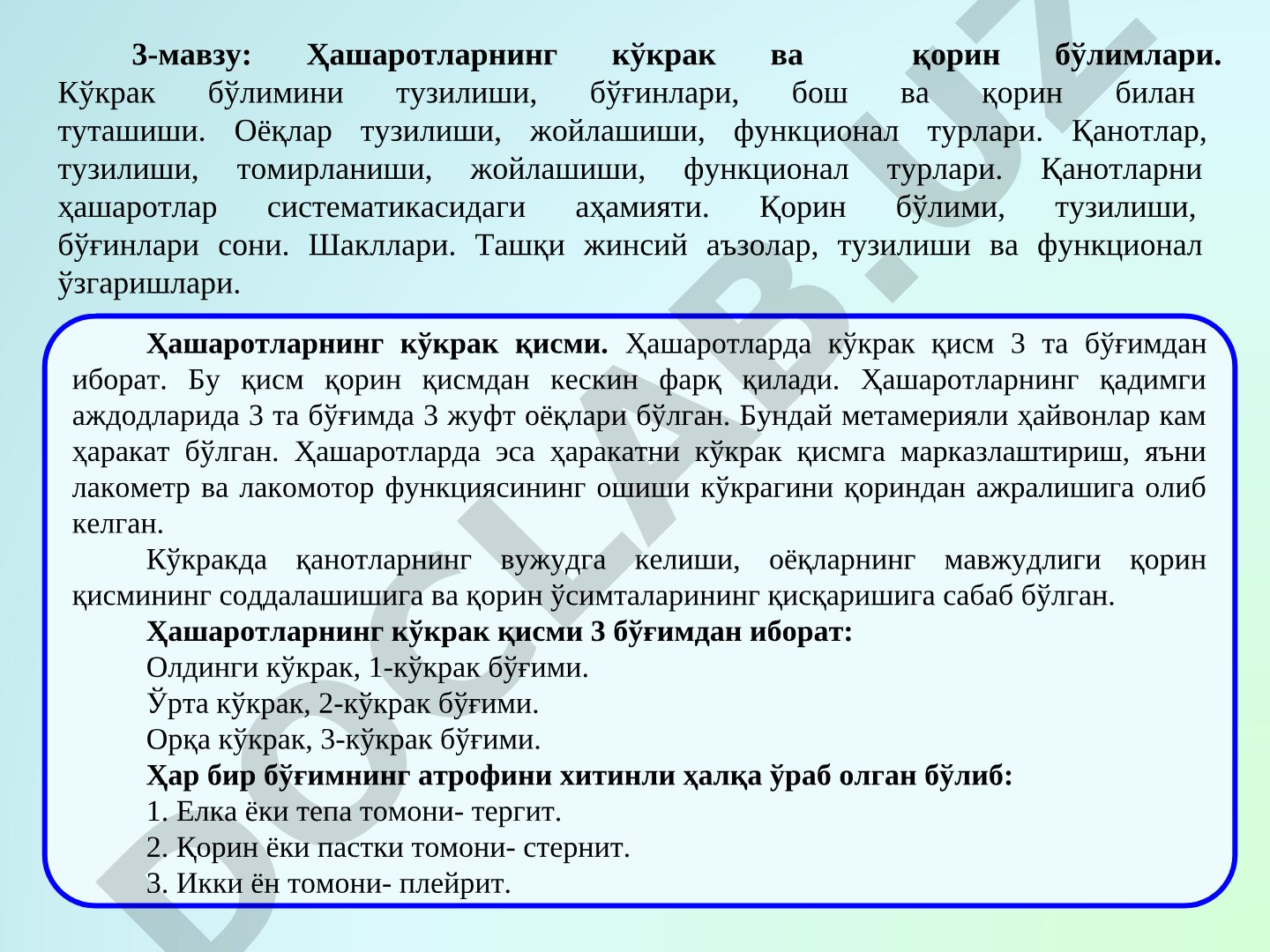 Ҳашаротларнинг кўкрак ва қорин бўлимлари