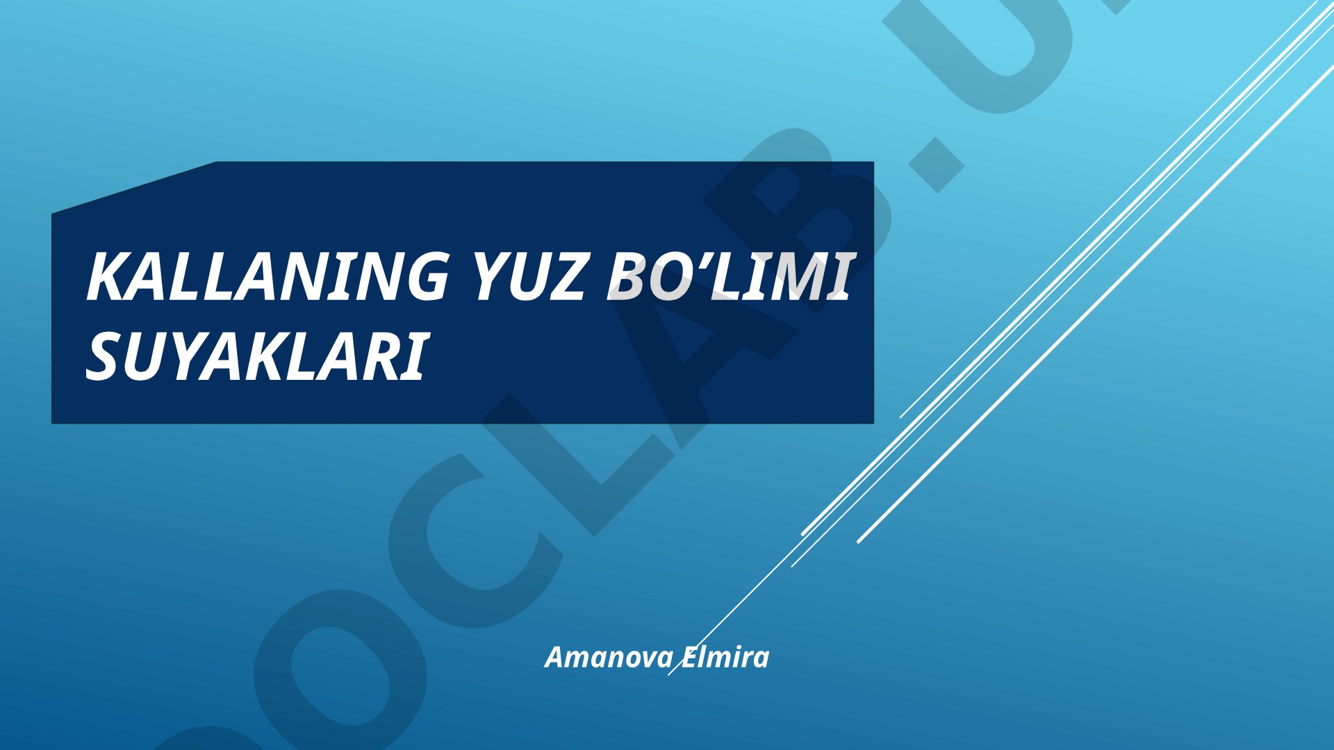 Kallaning yuz bo’limi suyaklari