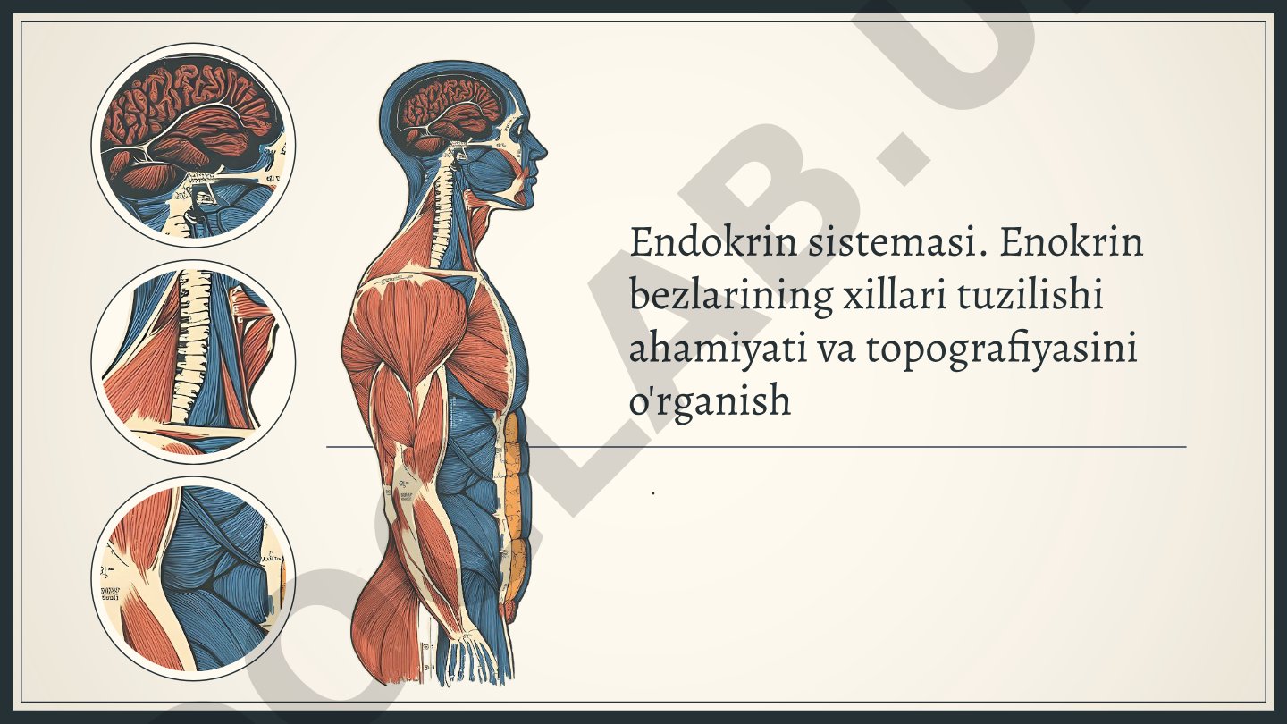 Endokrin sistemasi. Enokrin bezlarining xillari tuzilishi ahamiyati va topografiyasini o'rganish