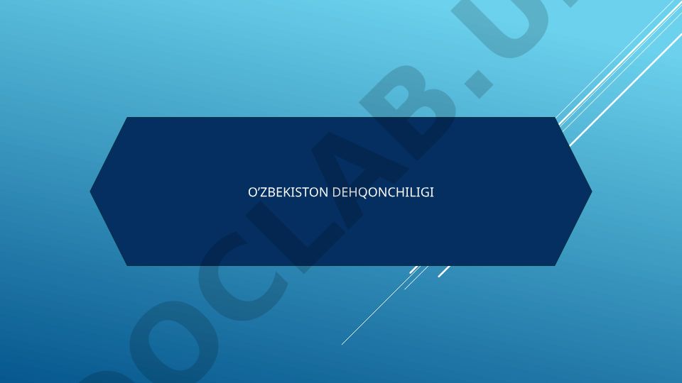 O'zbekistonda dehqonchilik tarmoqlarining rivojlanishi