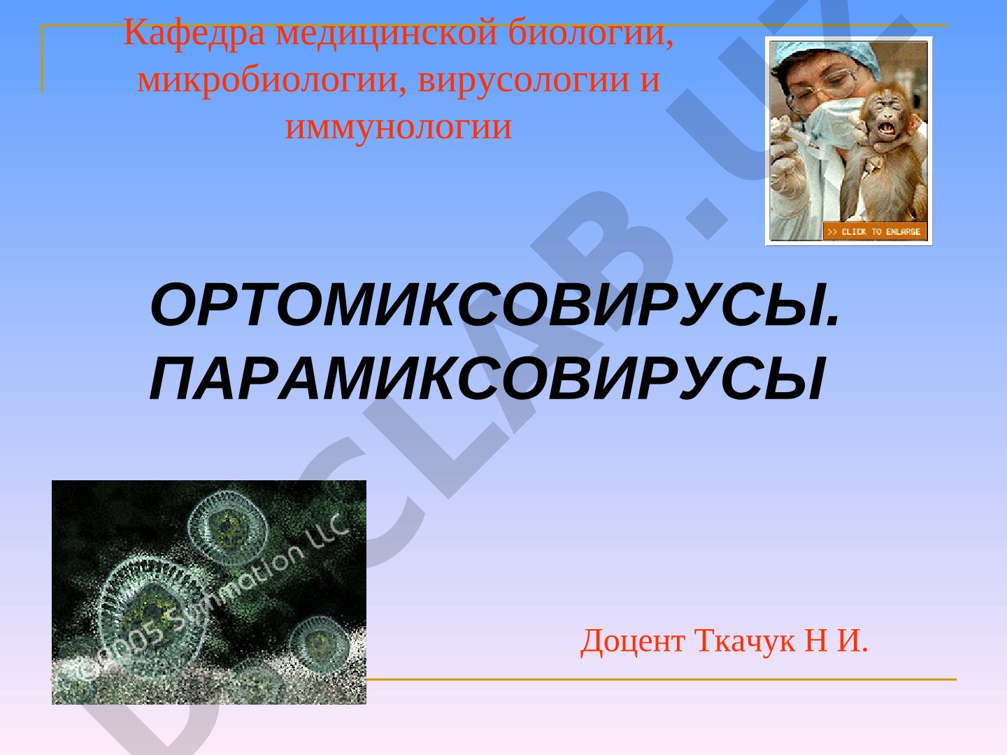 Строение, классификация и эпидемиология вирусов гриппа и парамиксовирусов