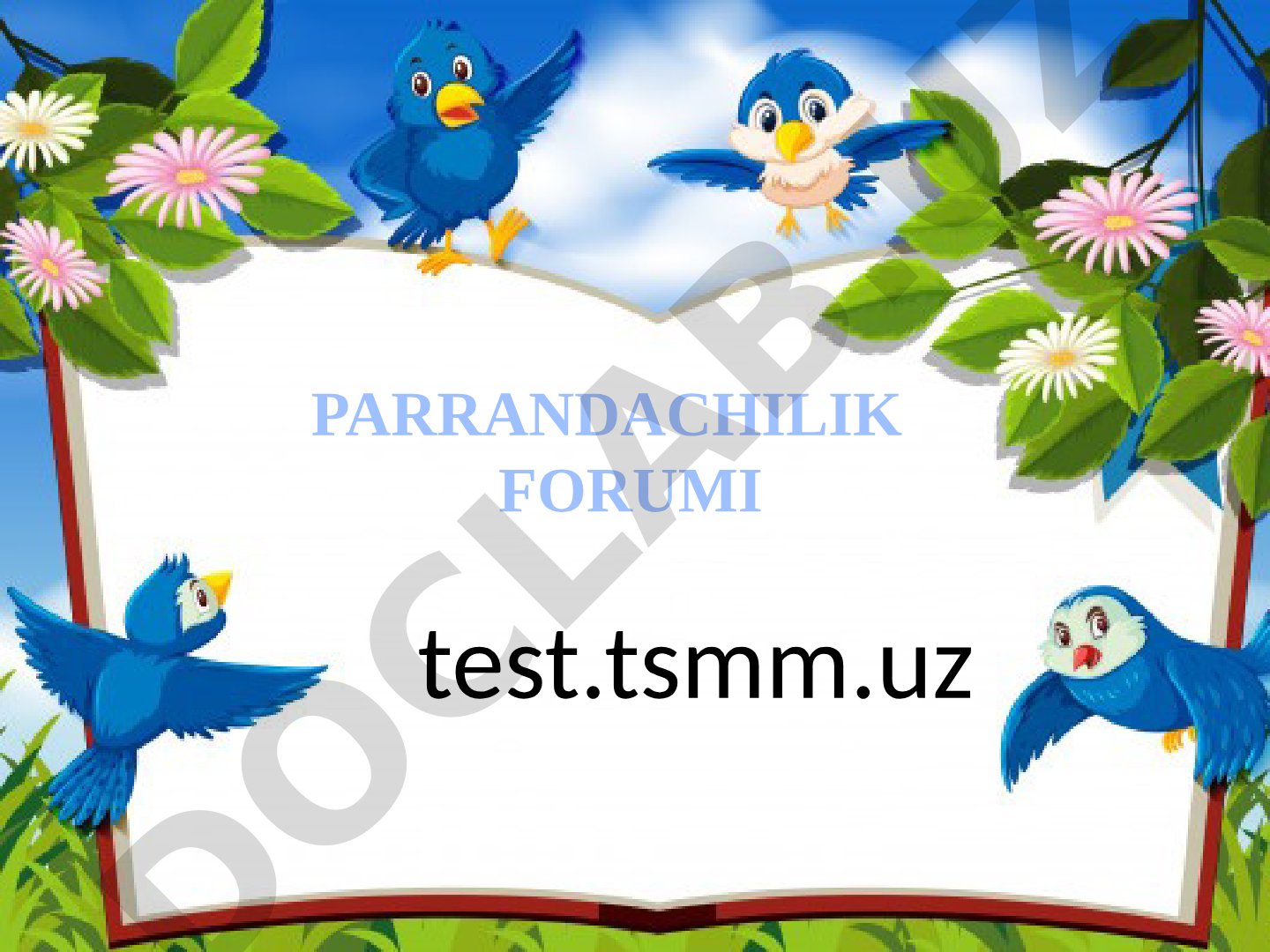 Parrandachilik forumi haqidagi test savollari