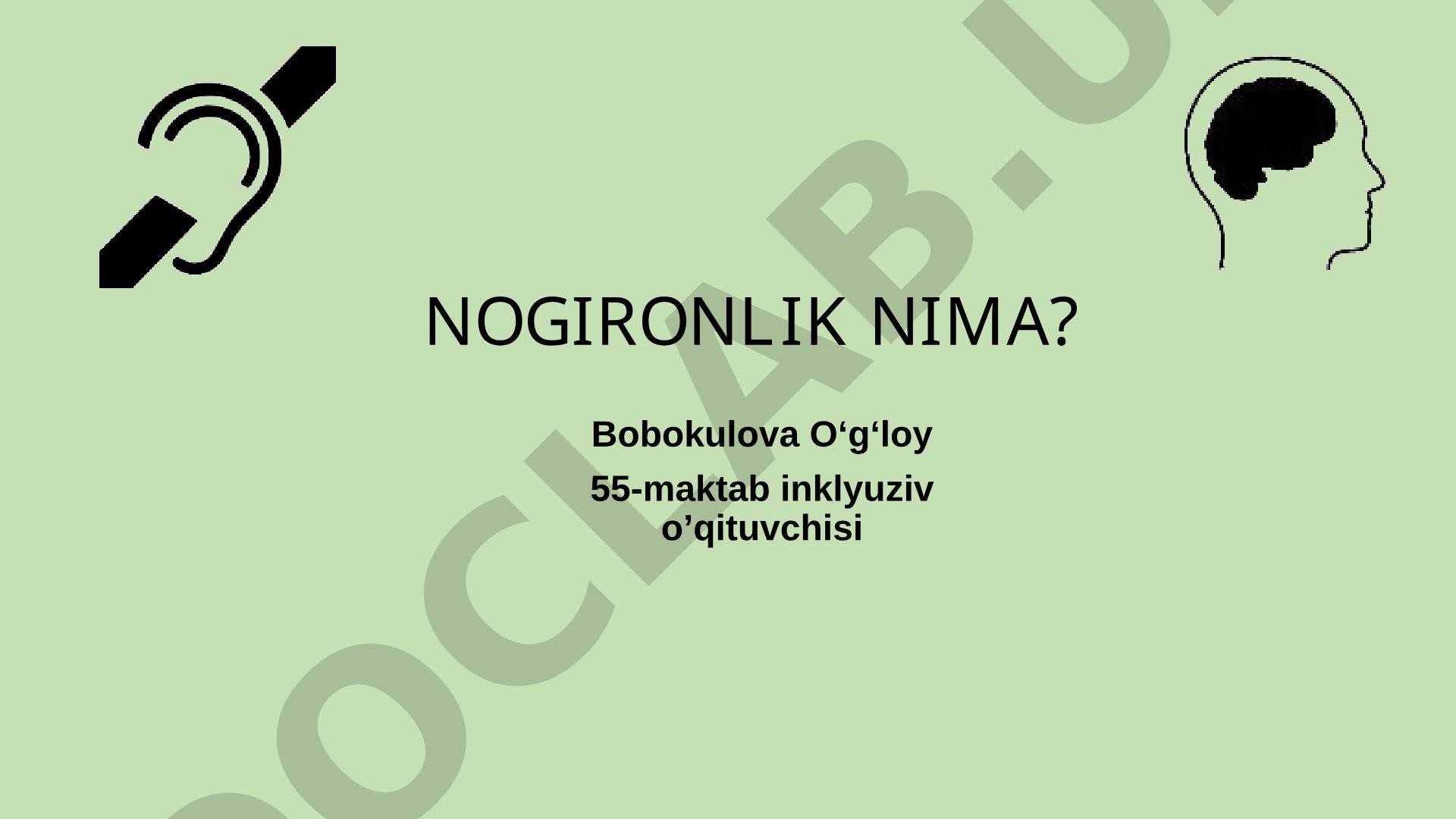 Nogironlik nima?