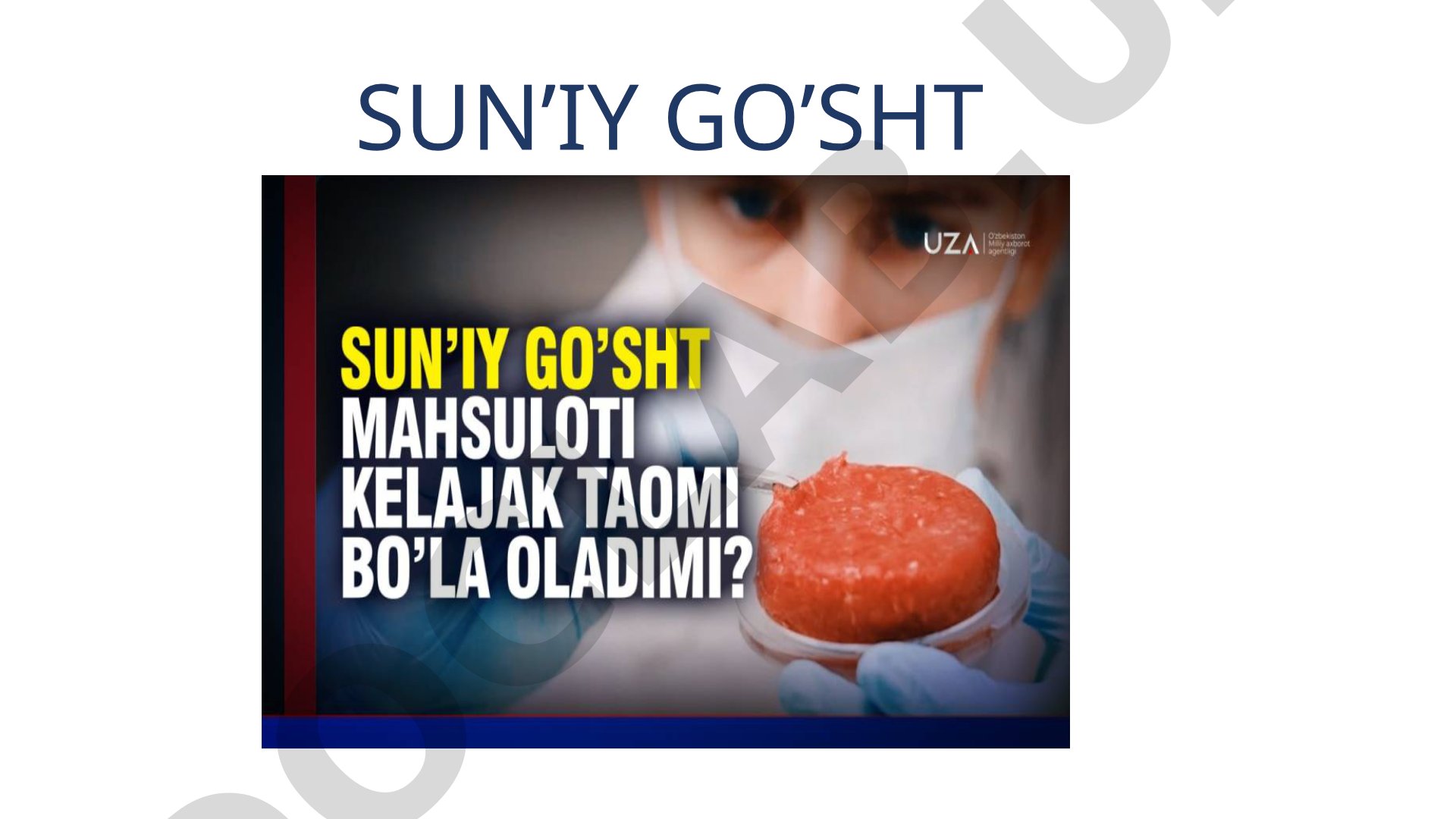 SUN’IY GO’SHT Sun’iy go’sht nima?