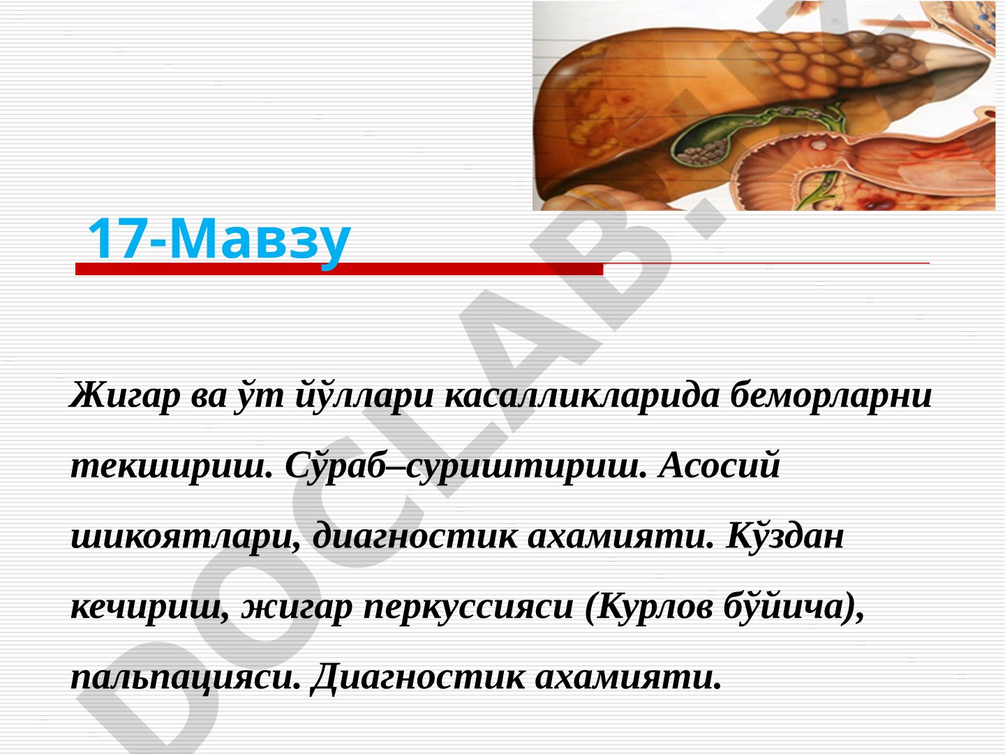 Жигар ва ўт йўллари касалликларида беморларни текшириш