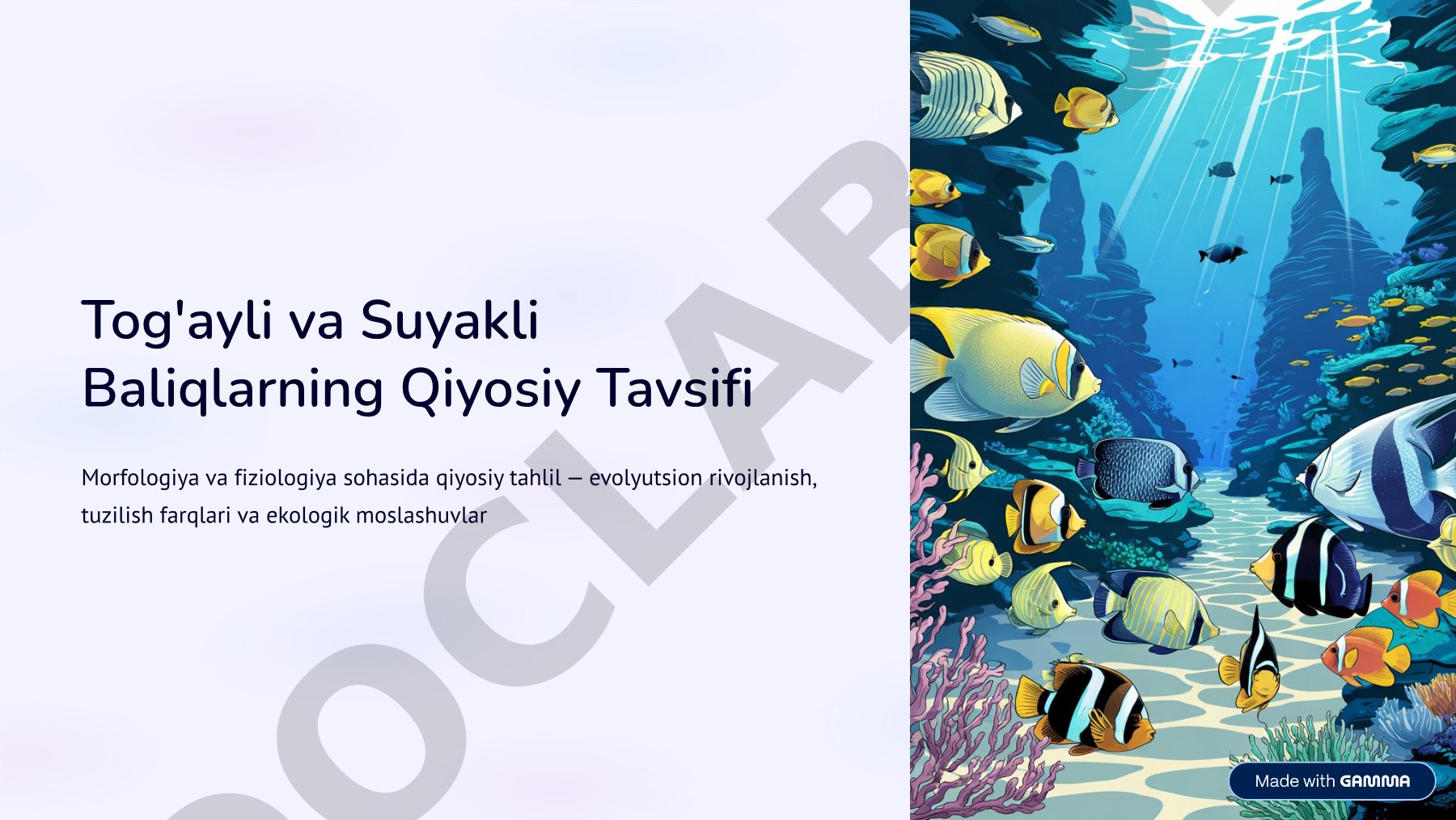 Tog'ayli va Suyakli Baliqlarning Qiyosiy Tavsifi