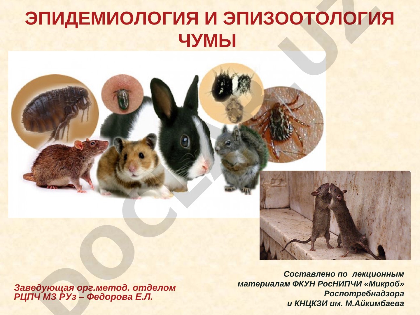 Эпидемиология и эпизоотология чумы