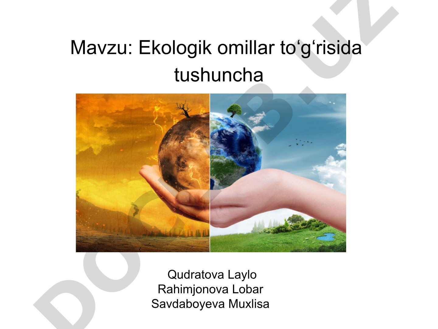 Ekologik omillar toʻgʻrisida tushuncha