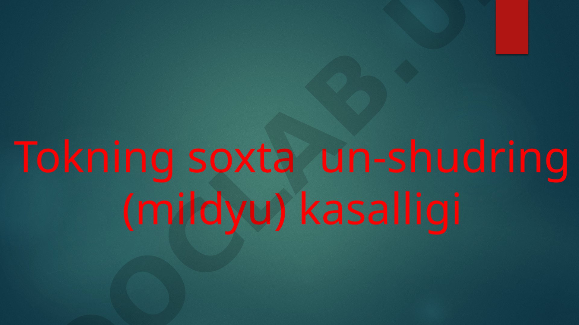 Tokning soxta un-shudring (mildyu) kasalligi