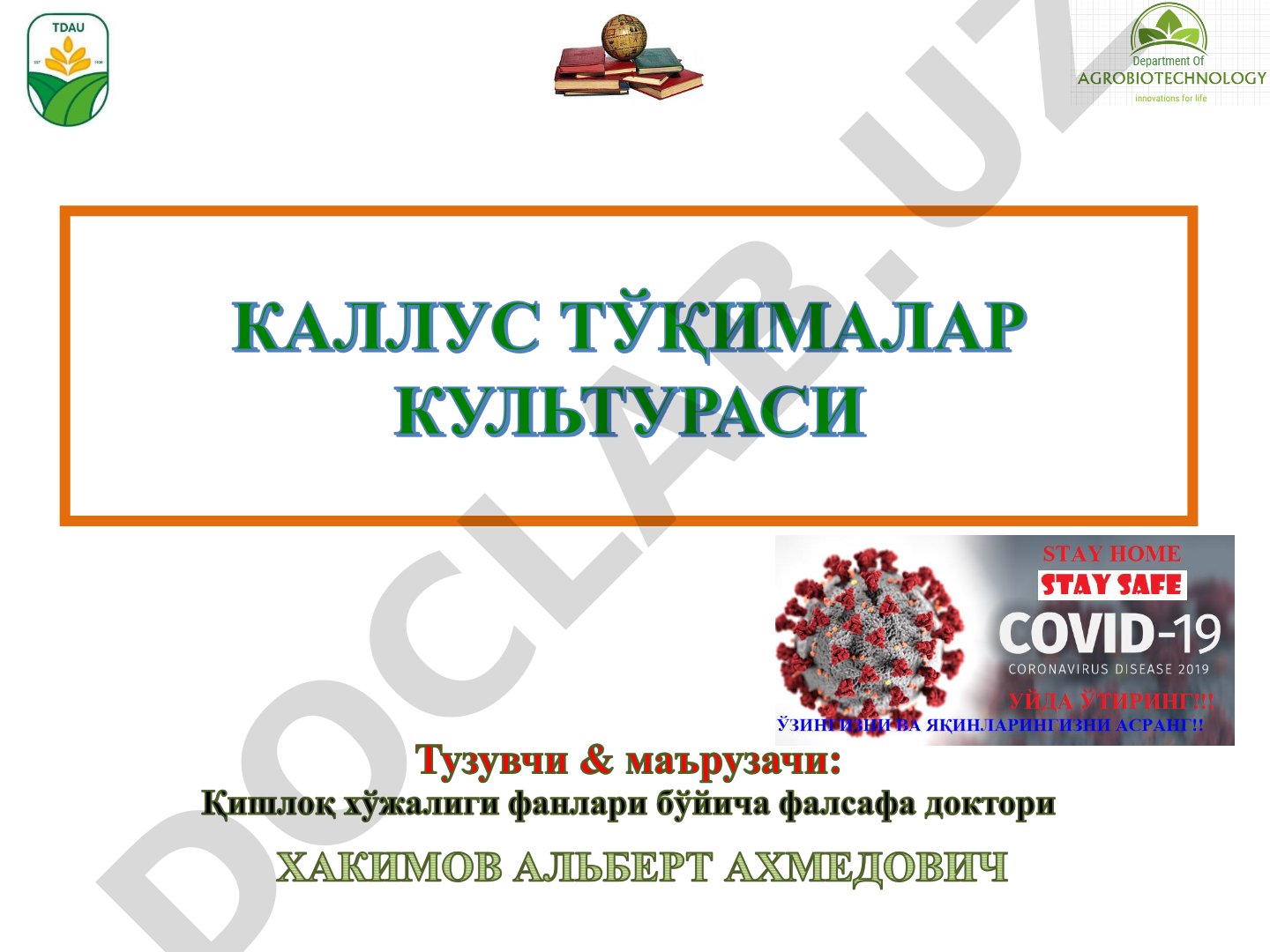 Каллус тўқималари культураси