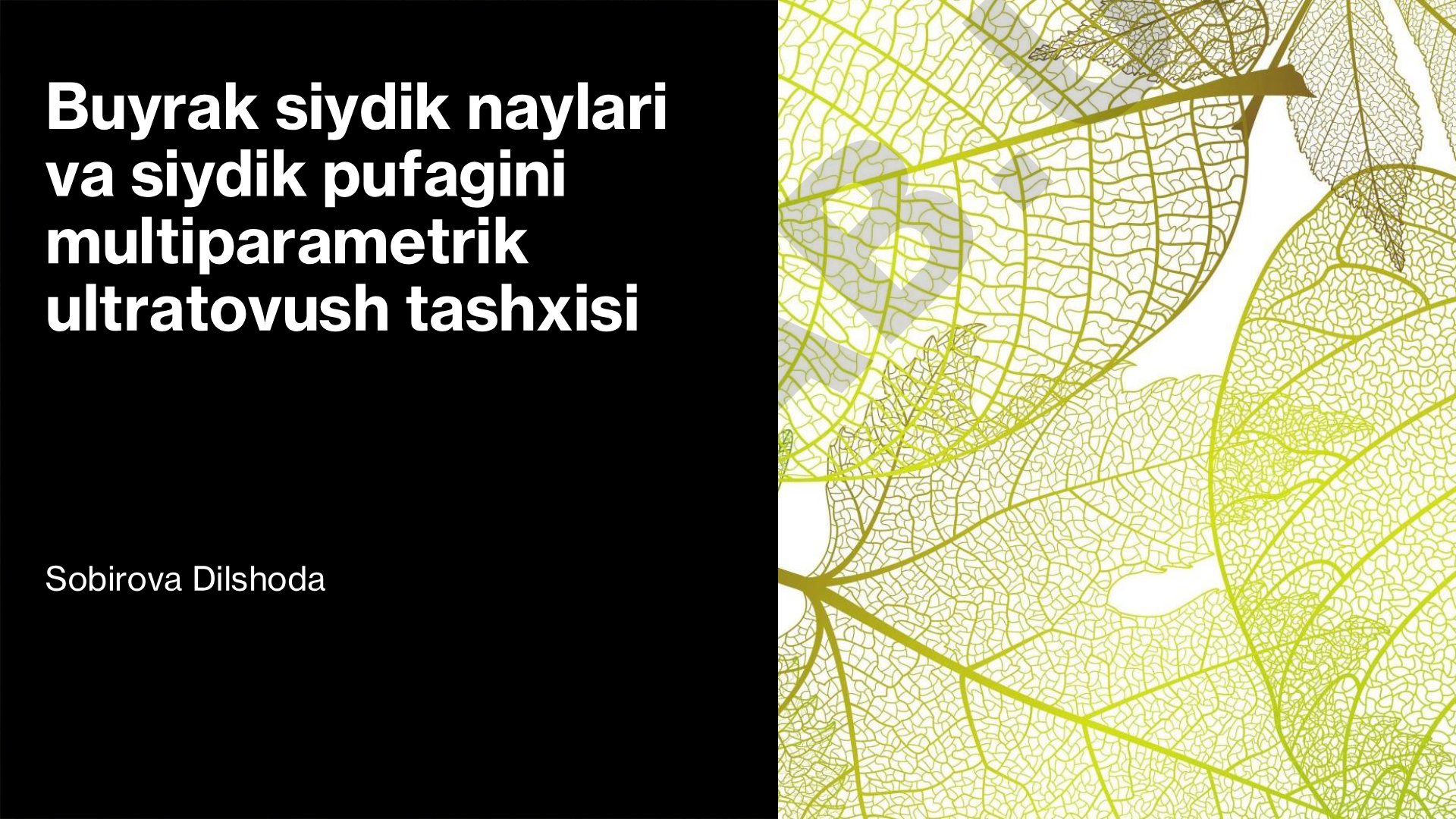 Buyrak siydik naylari va siydik pufagini multiparametrik ultratovush tashxisi