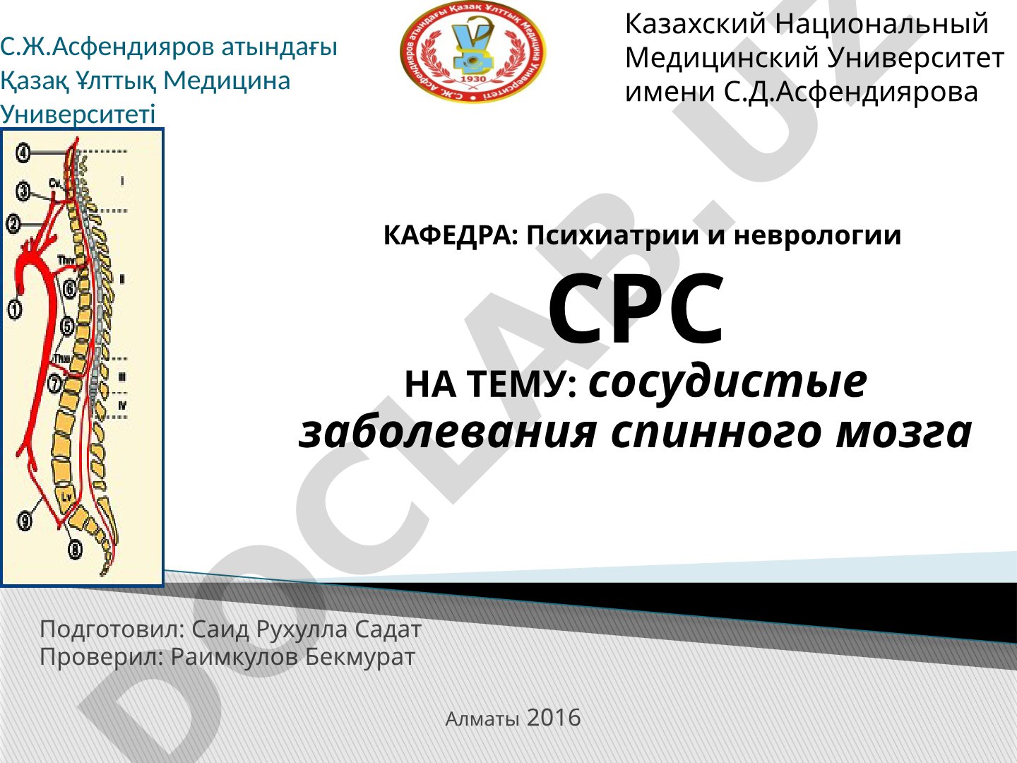 сосудистые заболевания спинного мозга
