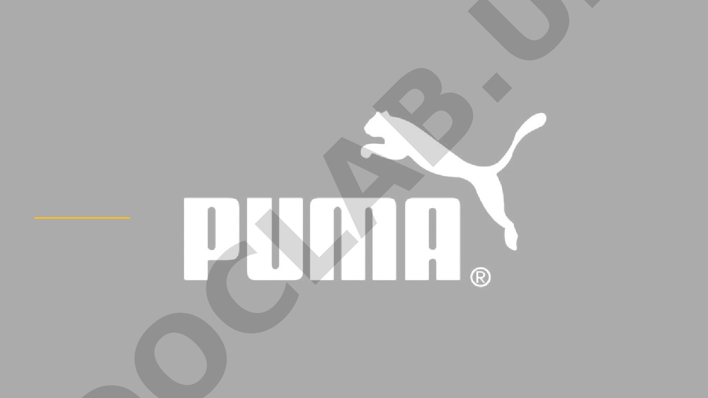 Puma kompaniyasi haqida qisqacha ma'lumot