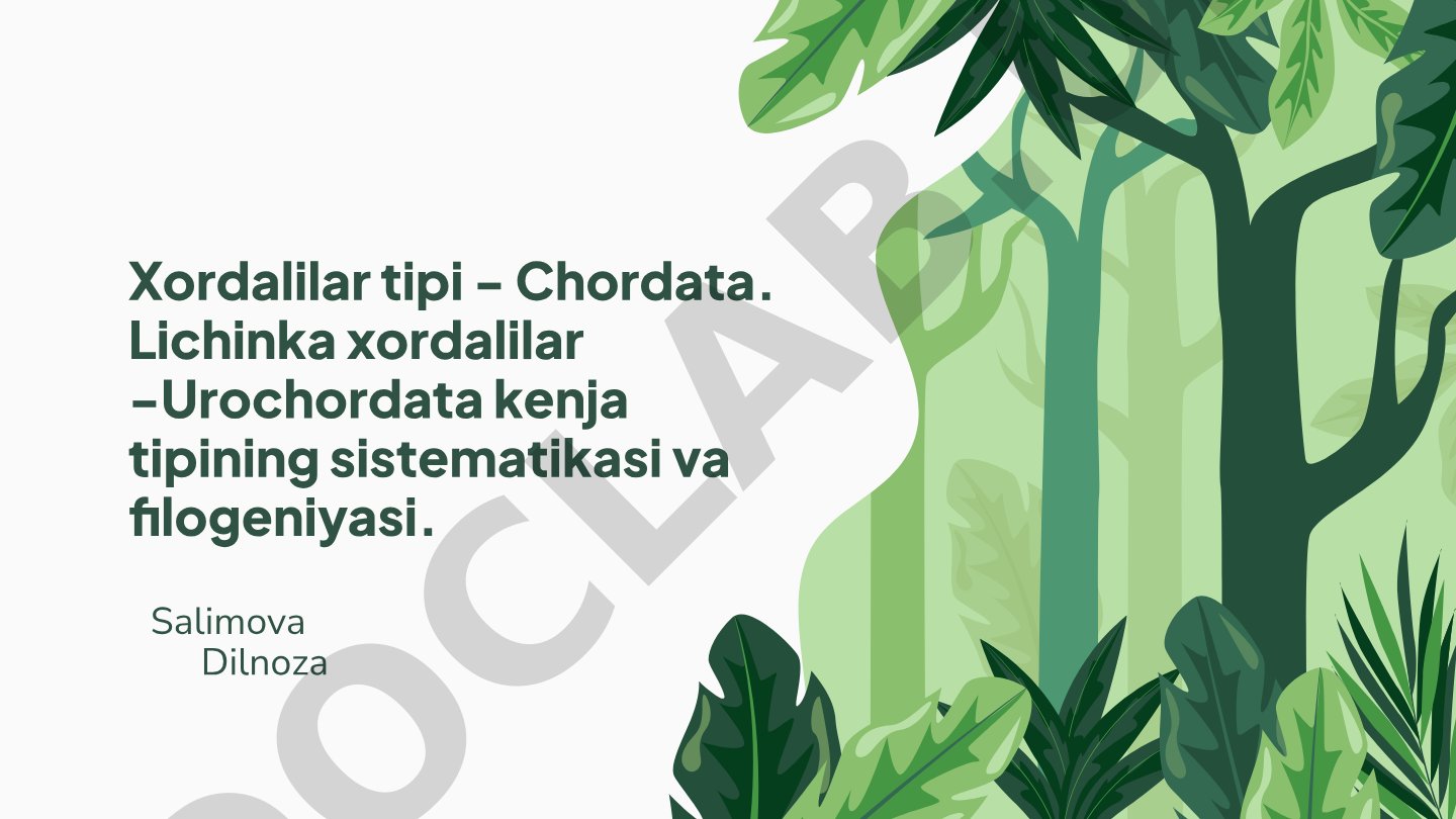 Xordalilar tipi: Lichinka xordalilar - Urochordata kenja tipining sistematikasi va filogeniyasi