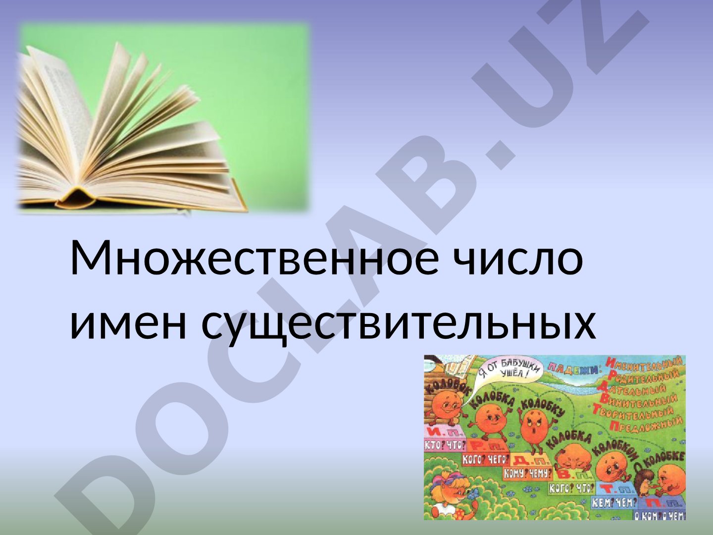 Падежи имён существительных в русском языке
