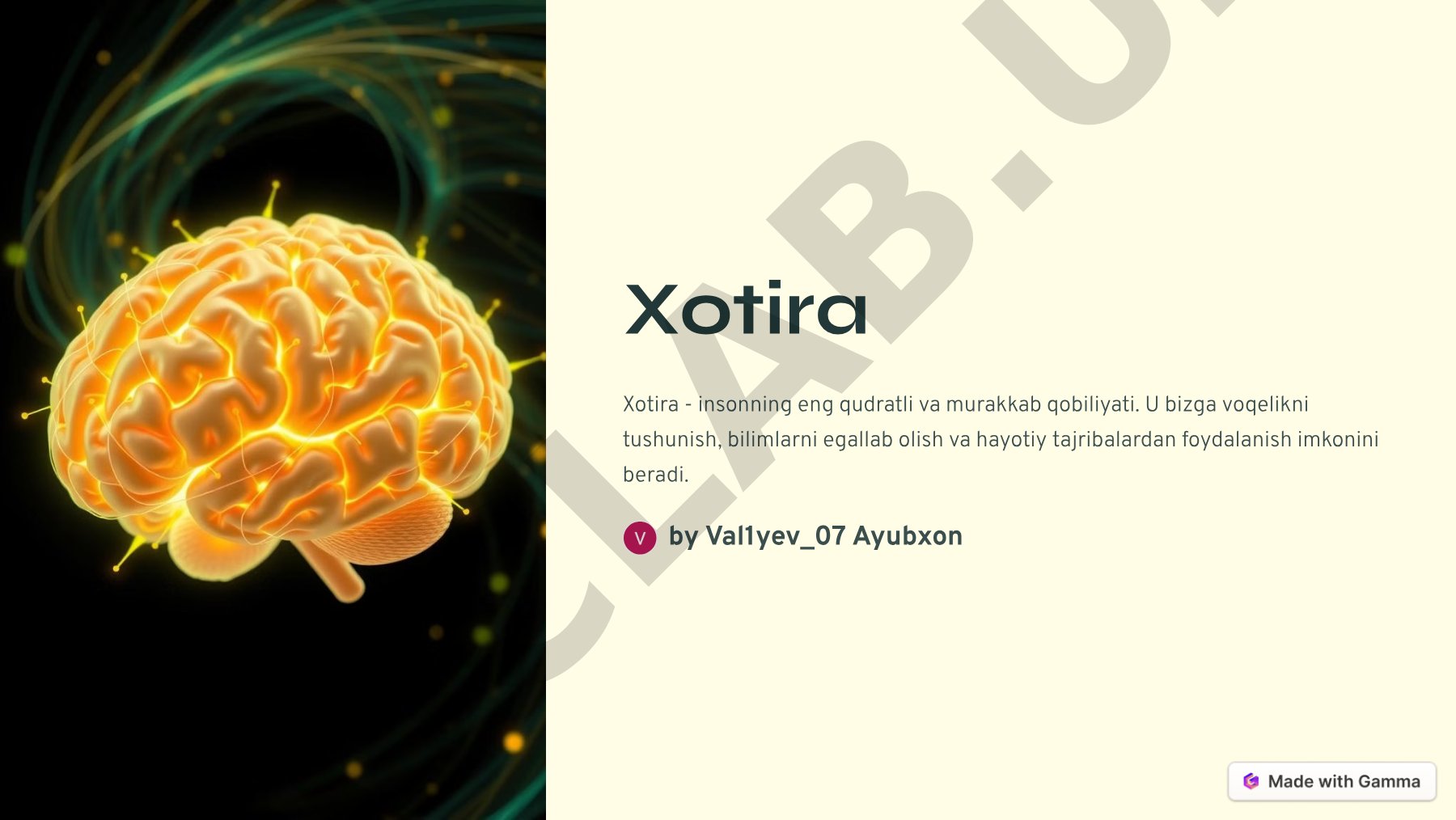 Xotira turlari va ahamiyati