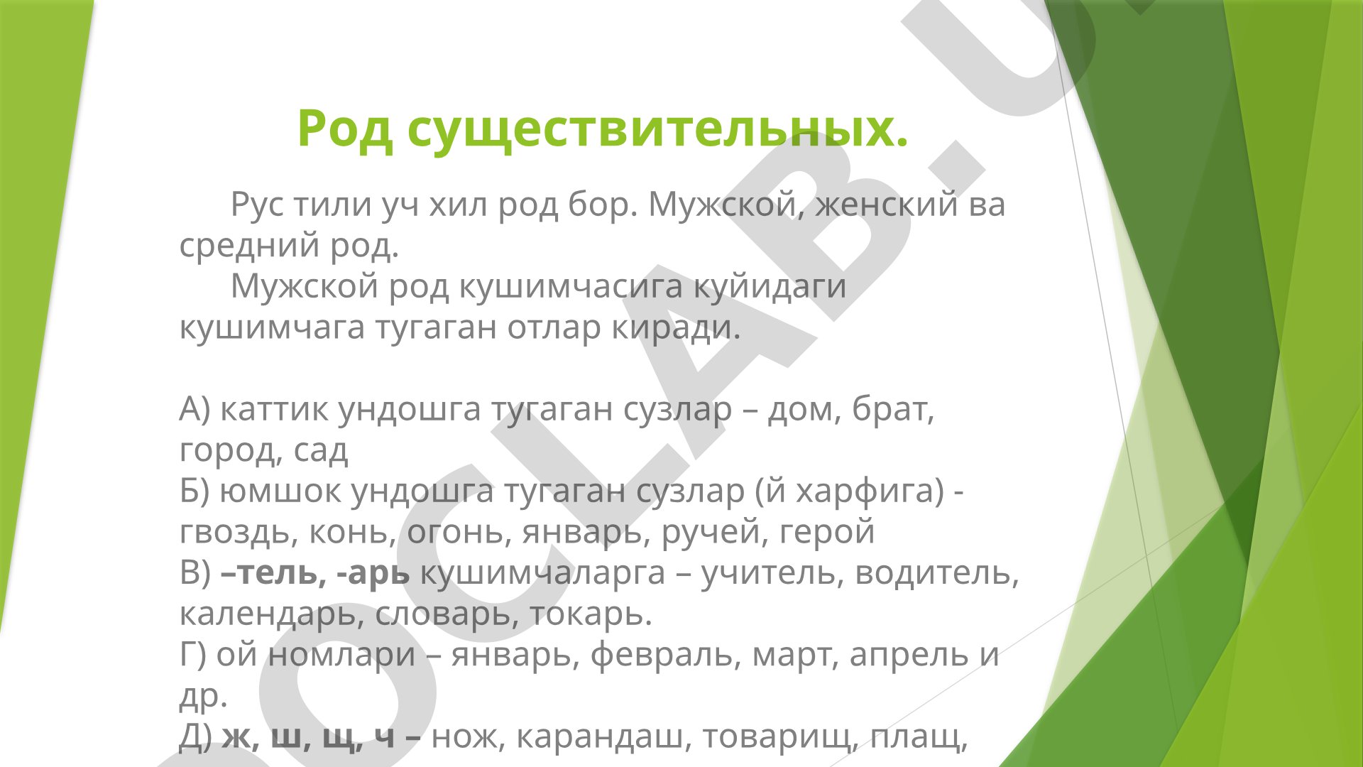 Род существительных в русском языке
