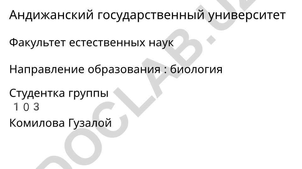 Имя прилагательное в русском языке