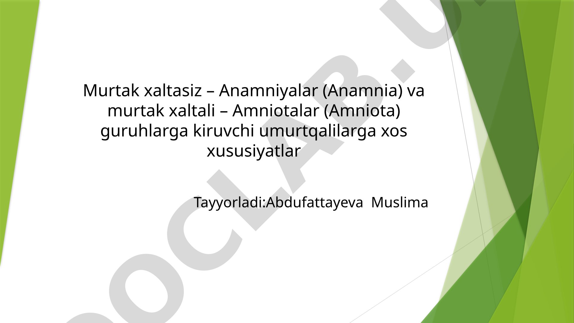 Murtak xaltasiz – Anamniyalar va murtak xaltali – Amniotalar guruhlarga kiruvchi umurtqalilarga xos xususiyatlar