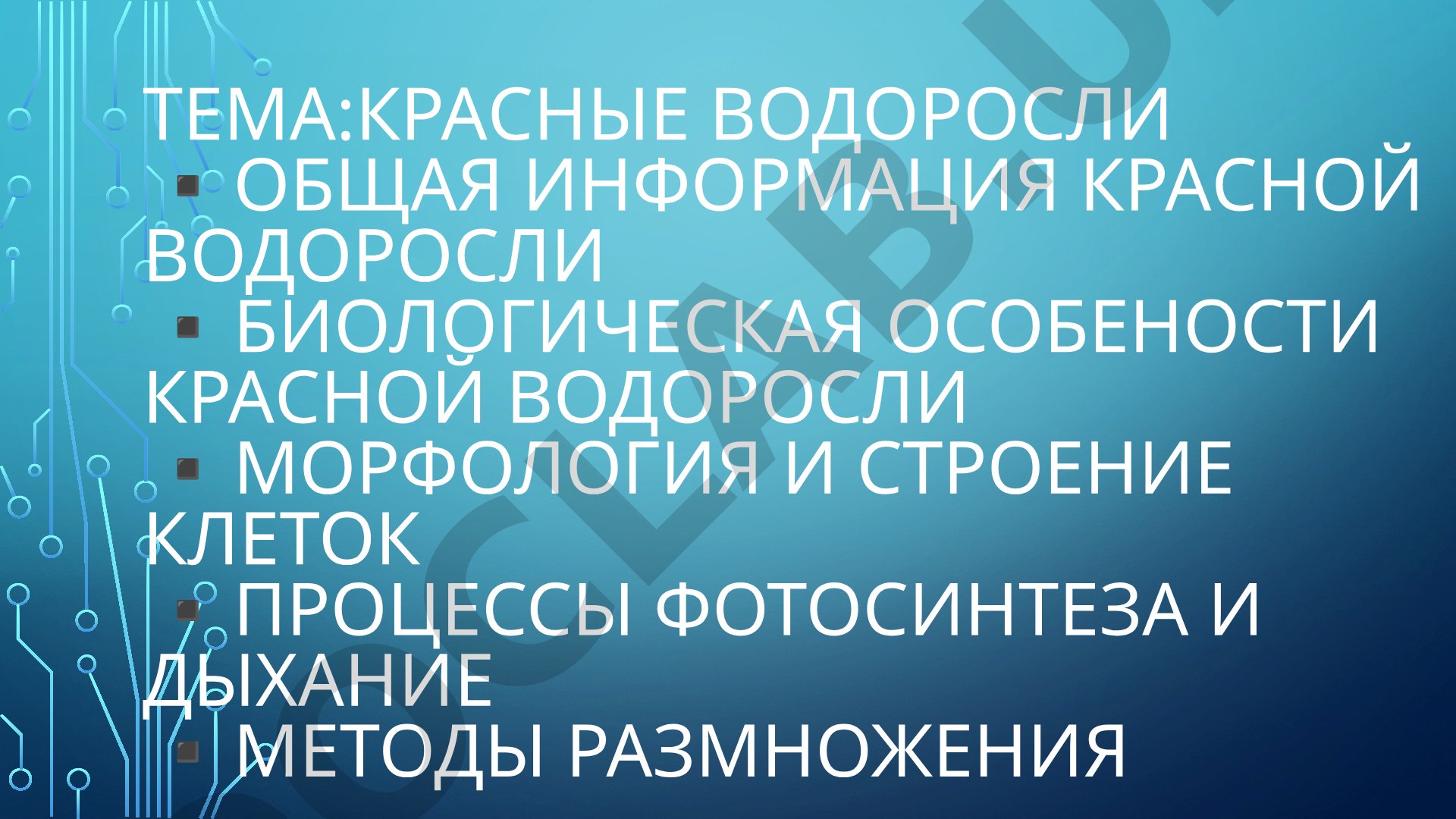 Общая информация о красных водорослях, их биологические особенности, морфология, строение