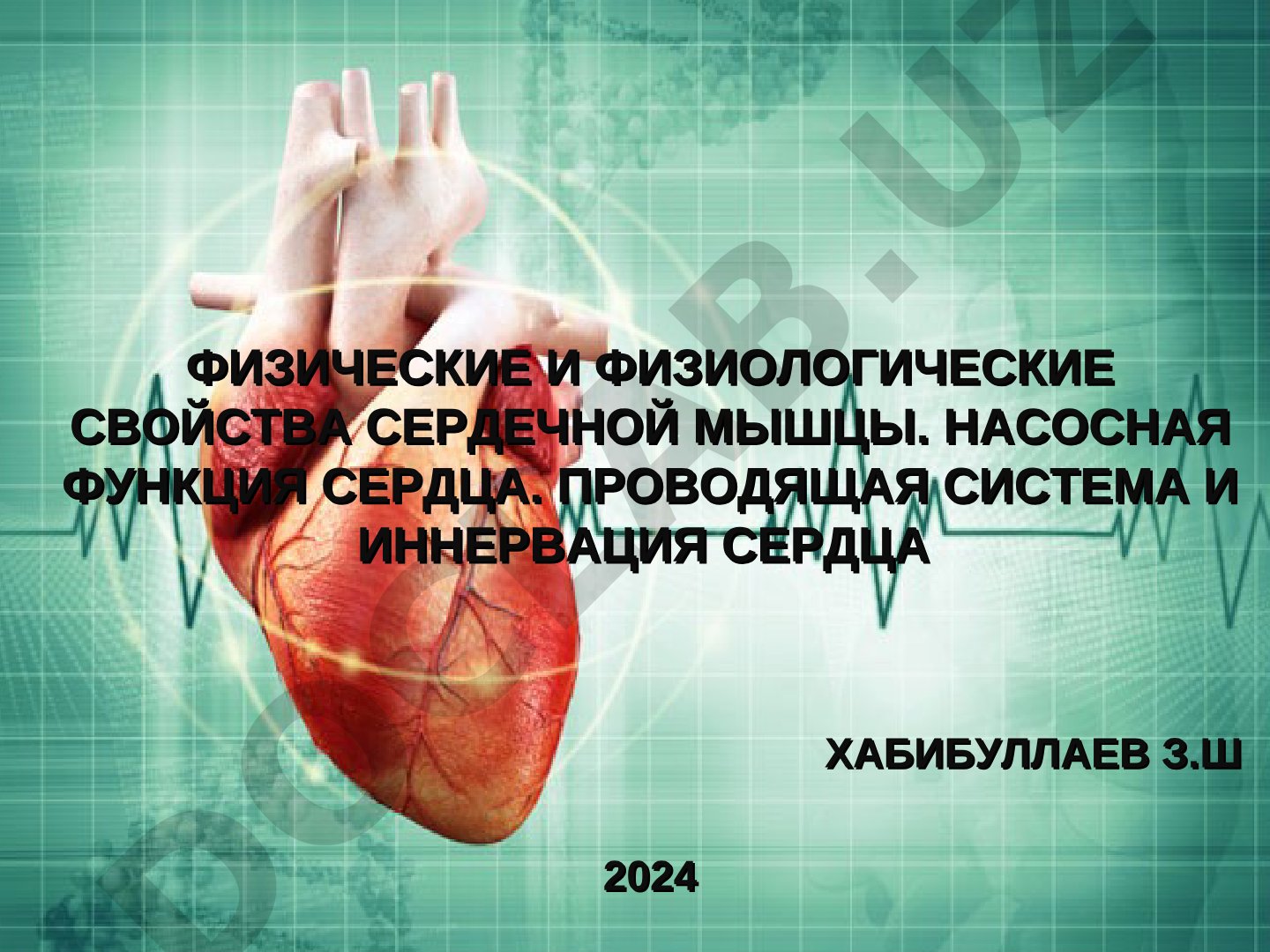 Физические и физиологические свойства сердечной мышцы. Насосная функция сердца. Проводящая система и иннервация сердца