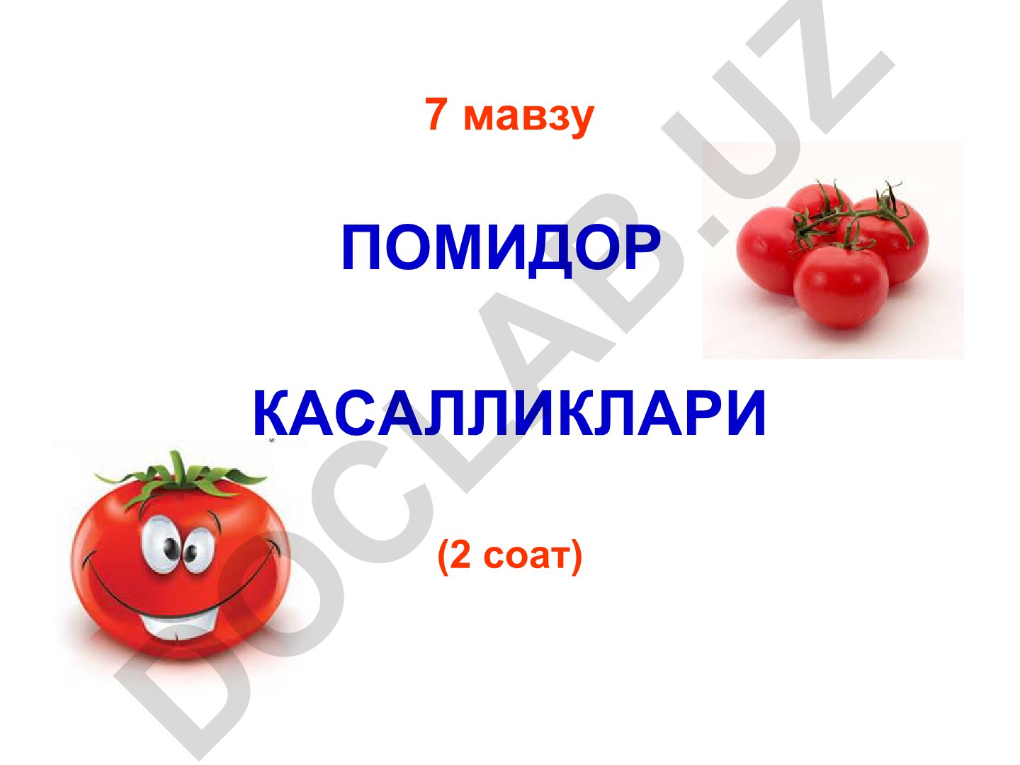 Помидор касалликлари ва уларнинг қўзғатувчи микроорганизмлари