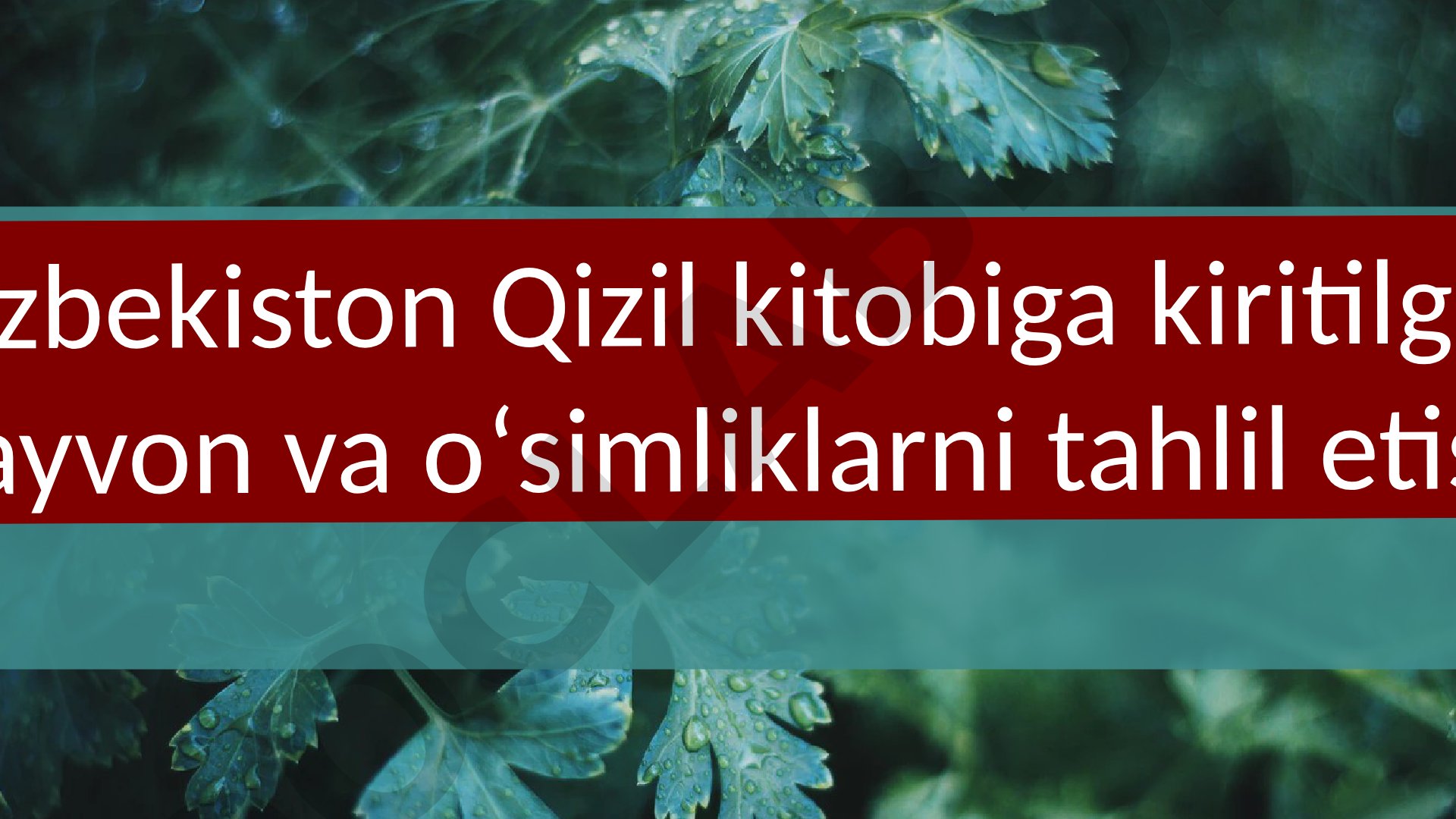 Oʻzbekiston Qizil kitobiga kiritilgan hayvon va oʻsimliklarni tahlil etish