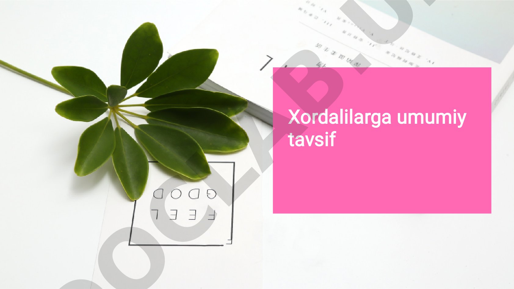 Xordalilar tipining umumiy tavsifi va kenja tiplari
