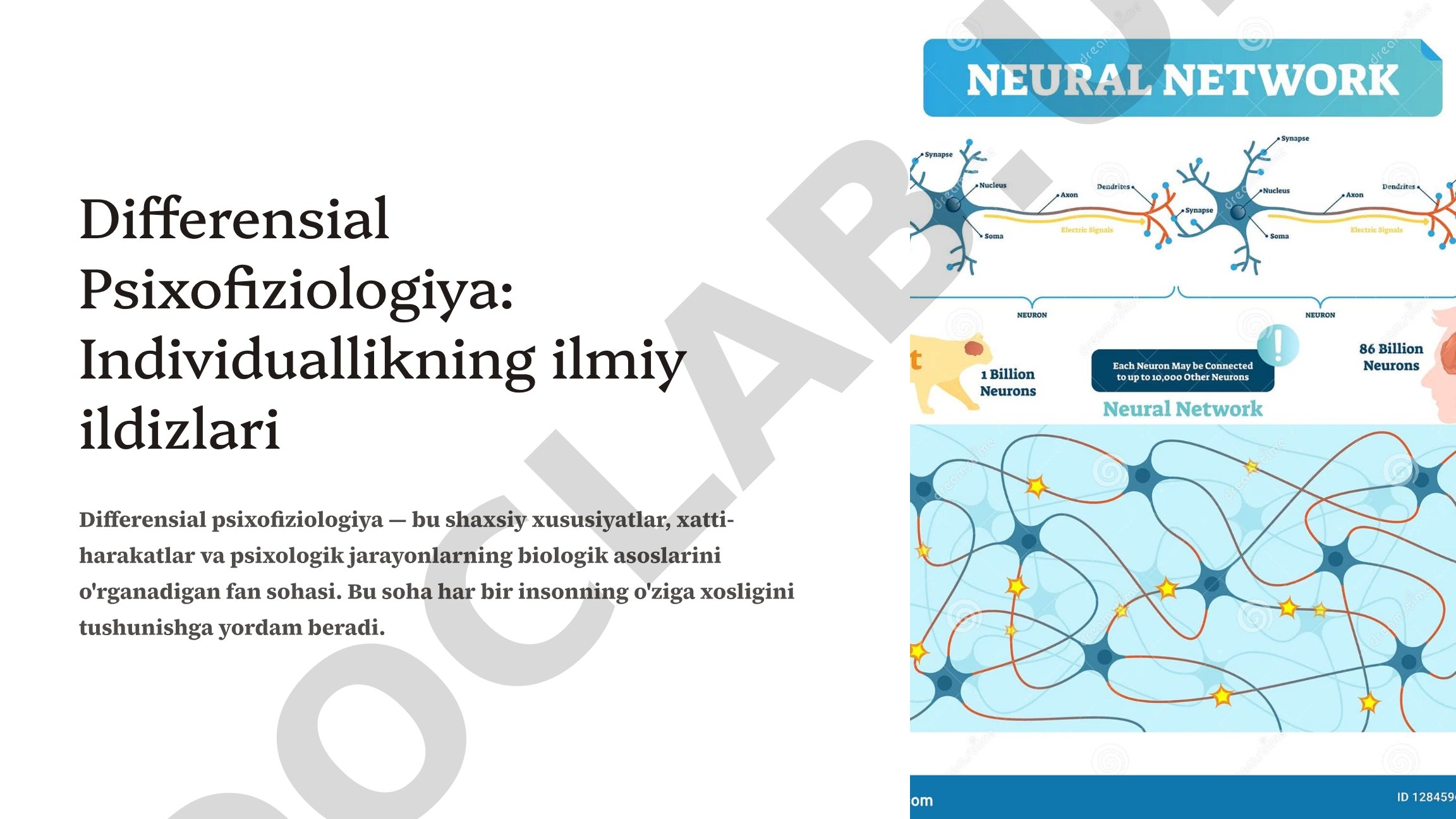 Differensial Psixofiziologiya: Individuallikning ilmiy ildizlari