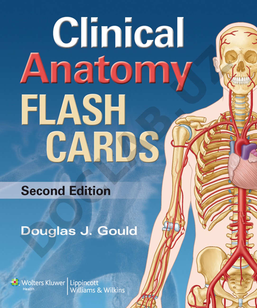 Moore’s Clinical Anatomy Flash Cards Second Edition