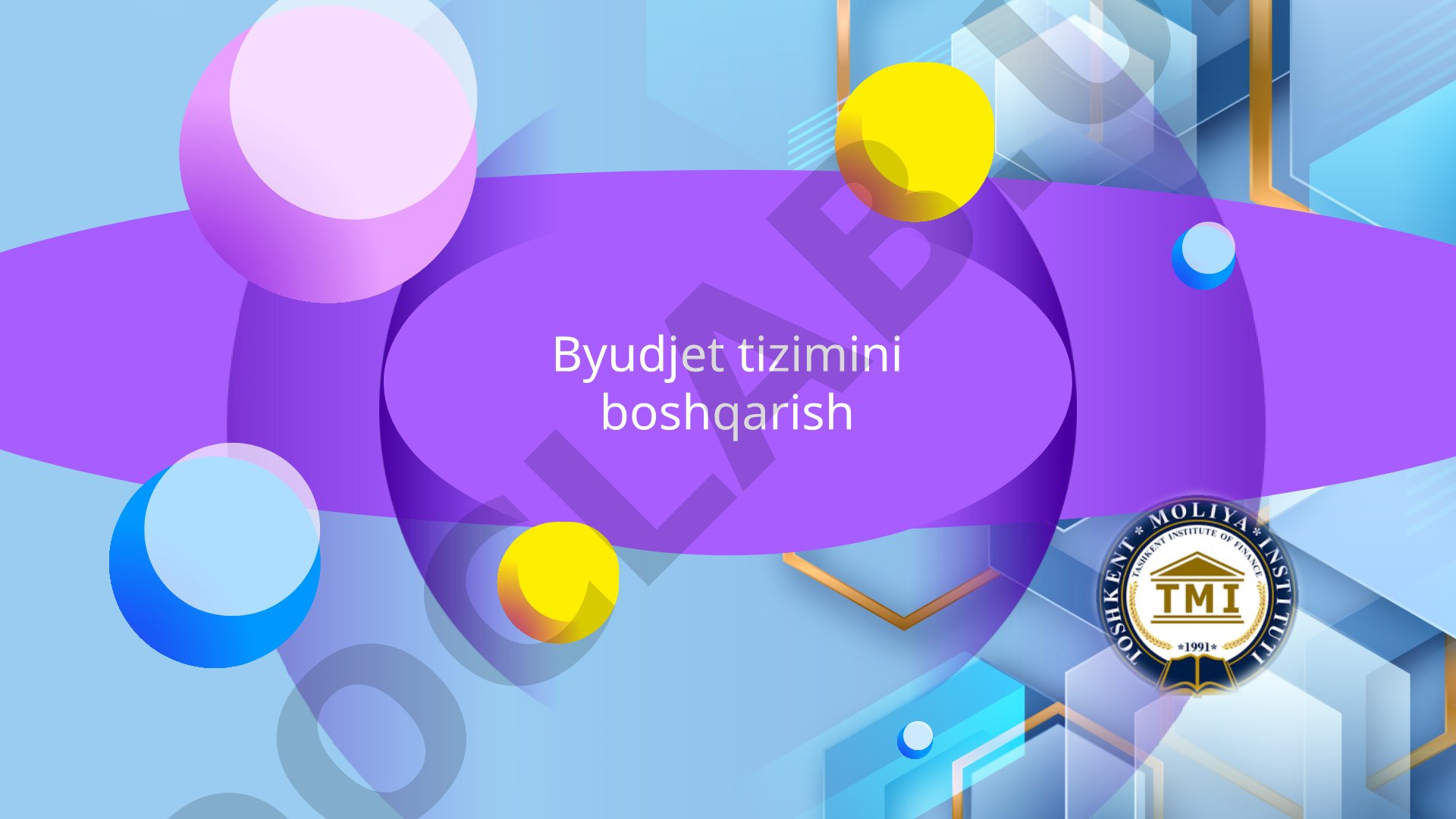 Budjet tizimining asosiy prinsiplari Budjet tasnifi tizimi, hisob-budjet hujjatlari va budjet jarayo