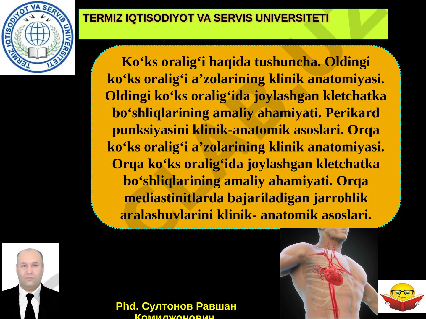 Ko'ks oralig'i a'zolarining klinik anatomiyasi