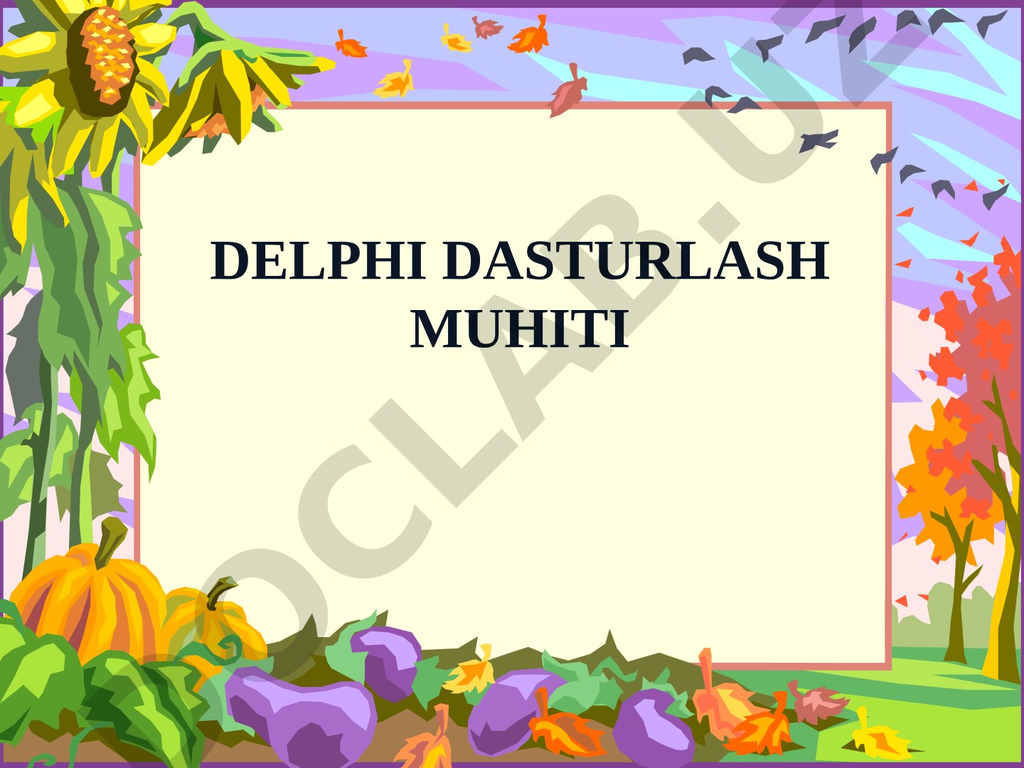 Delphi dasturlash muhiti