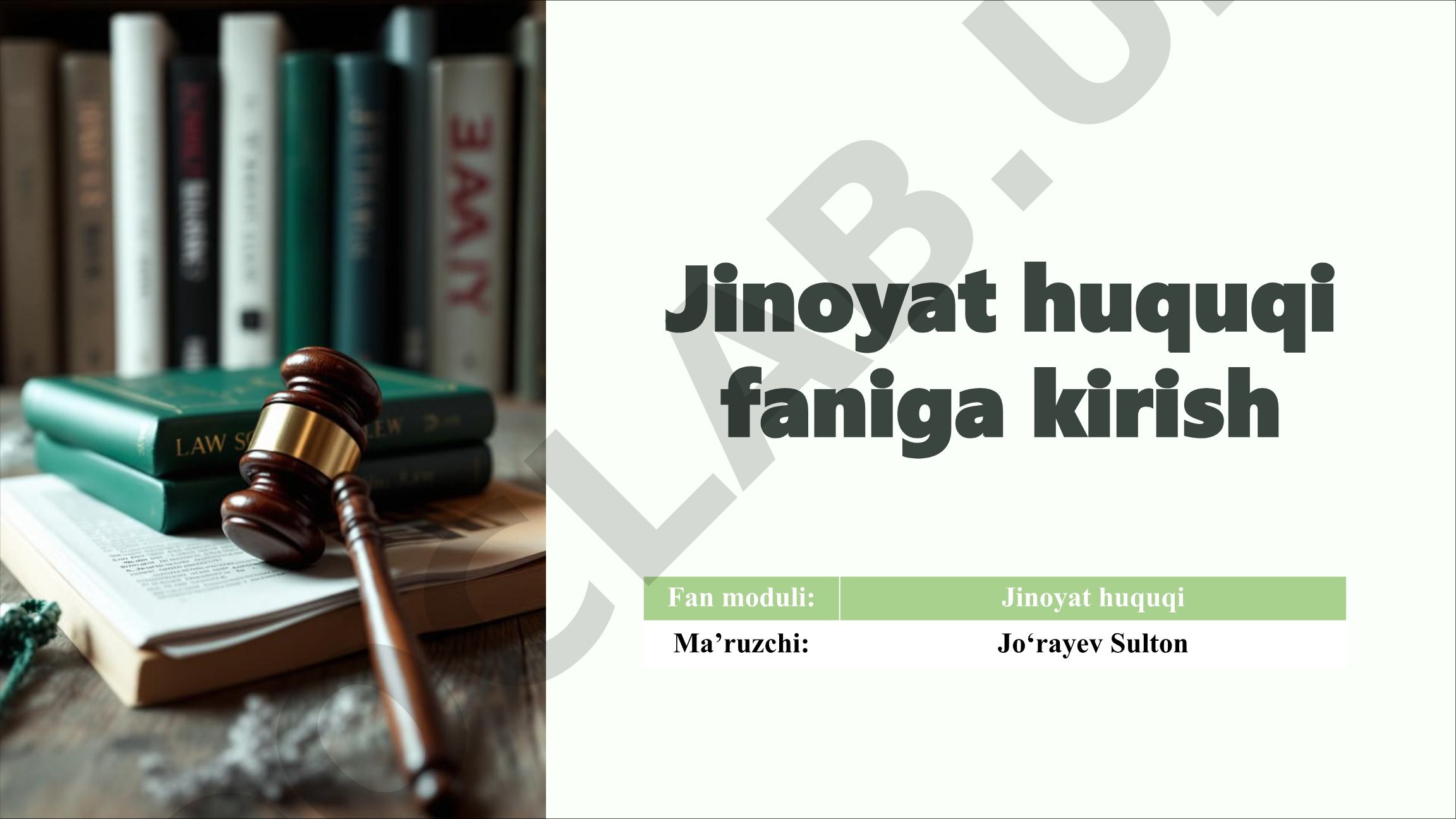 Jinoyat huquqi faniga kirish