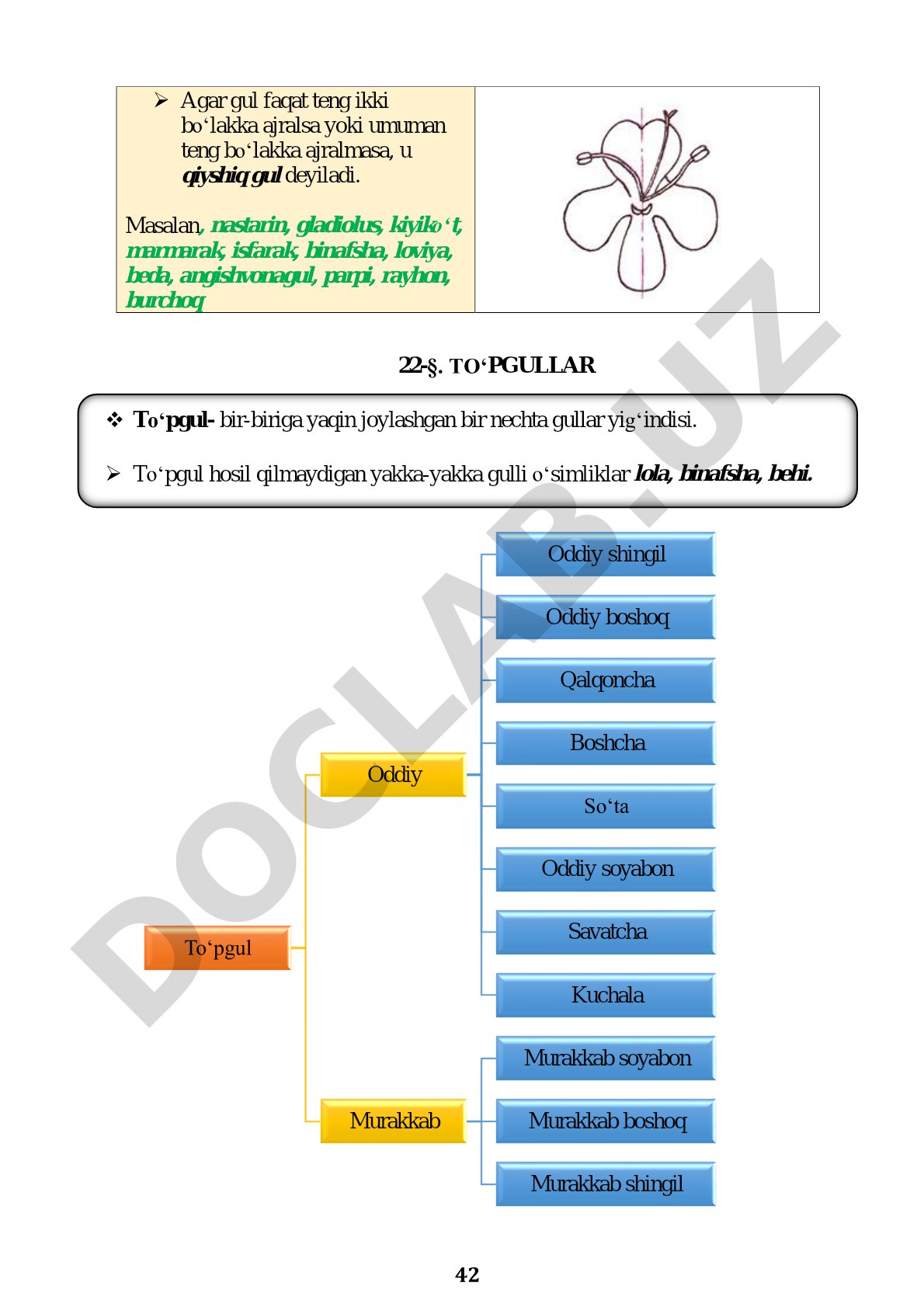 To‘pgullar