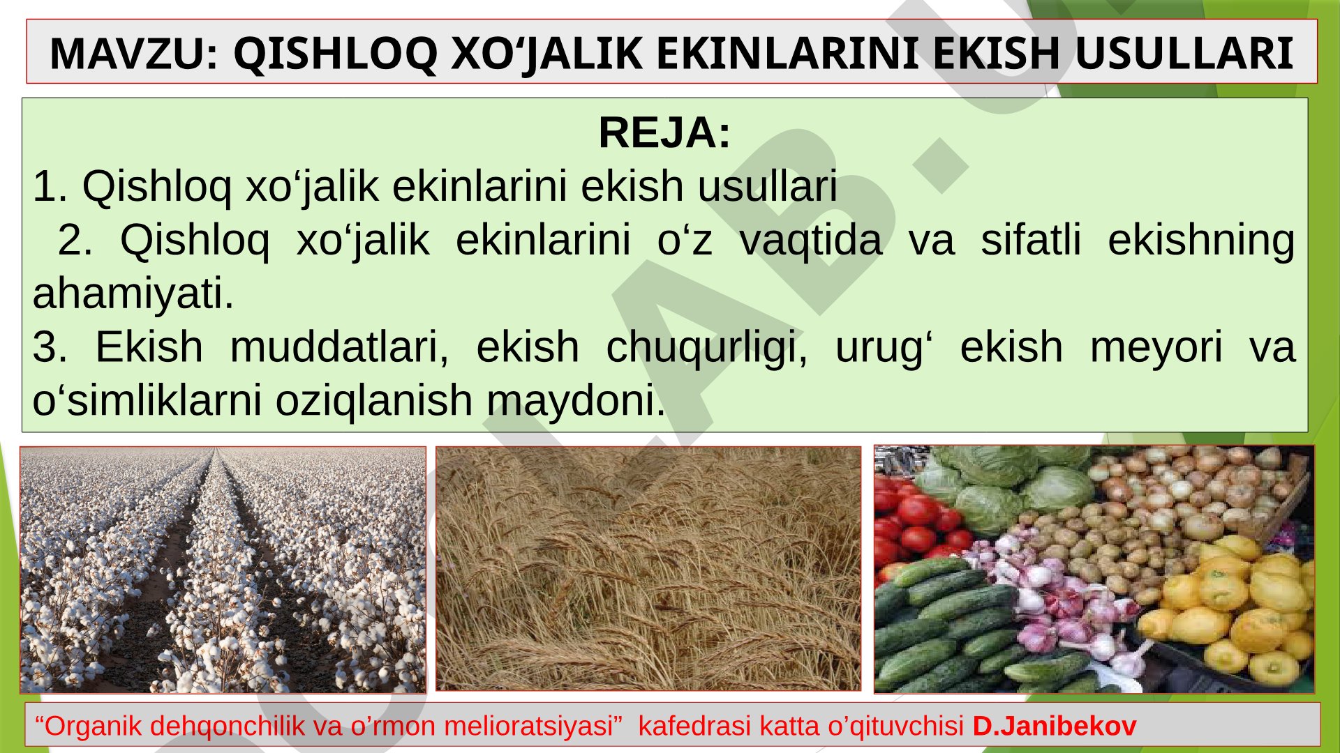 Qishloq xo‘jalik ekinlarini ekish usullari