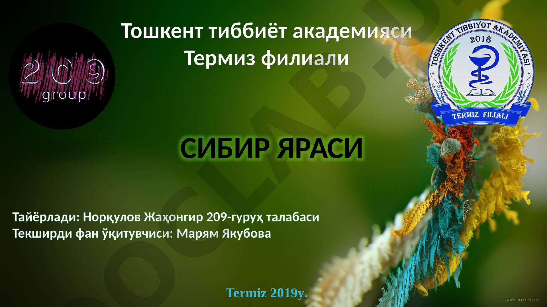 Sibir yarasi kasalligi, qo'zg'atuvchisi Bacillus anthracis morfologiyasi va xususiyatlari