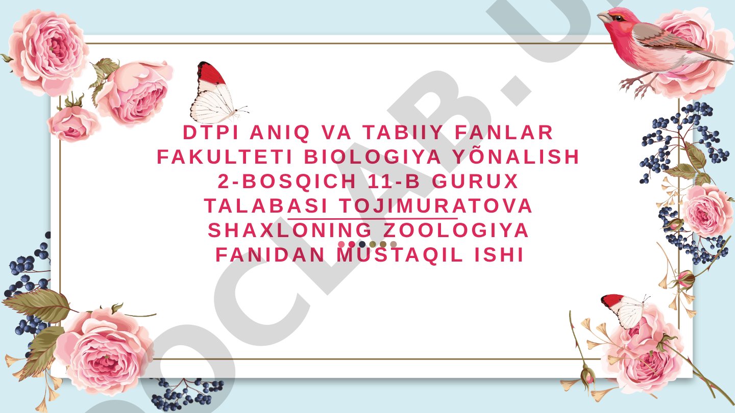 Qushlarning uchishga mos belgilari, uchish xillari
