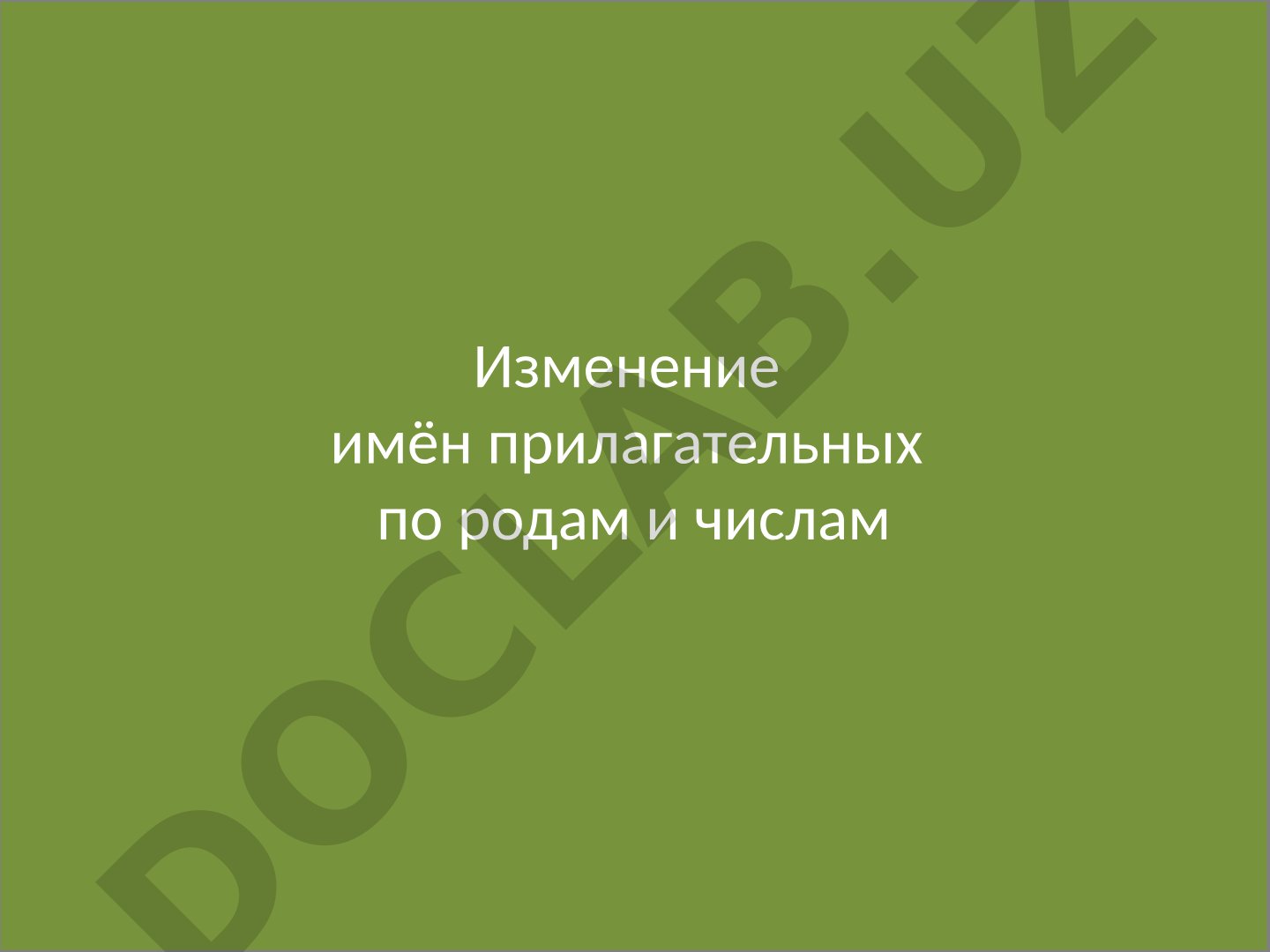 Изменение имён прилагательных по родам и числам