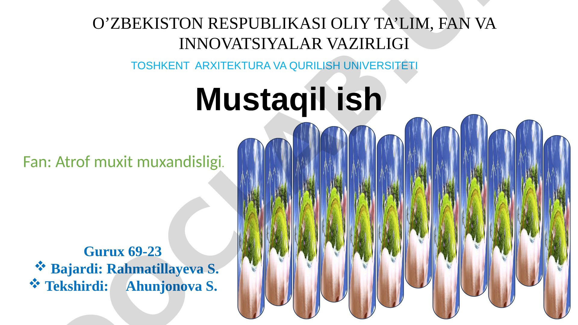 Orol dengizining ekologik muammosi