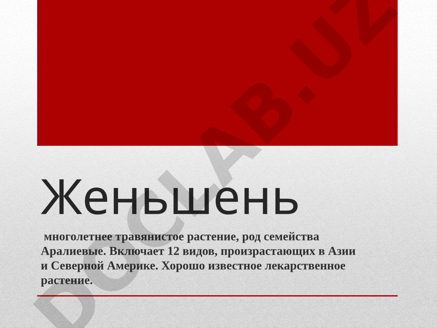 Женьшень: лекарственное растение, описание, применение