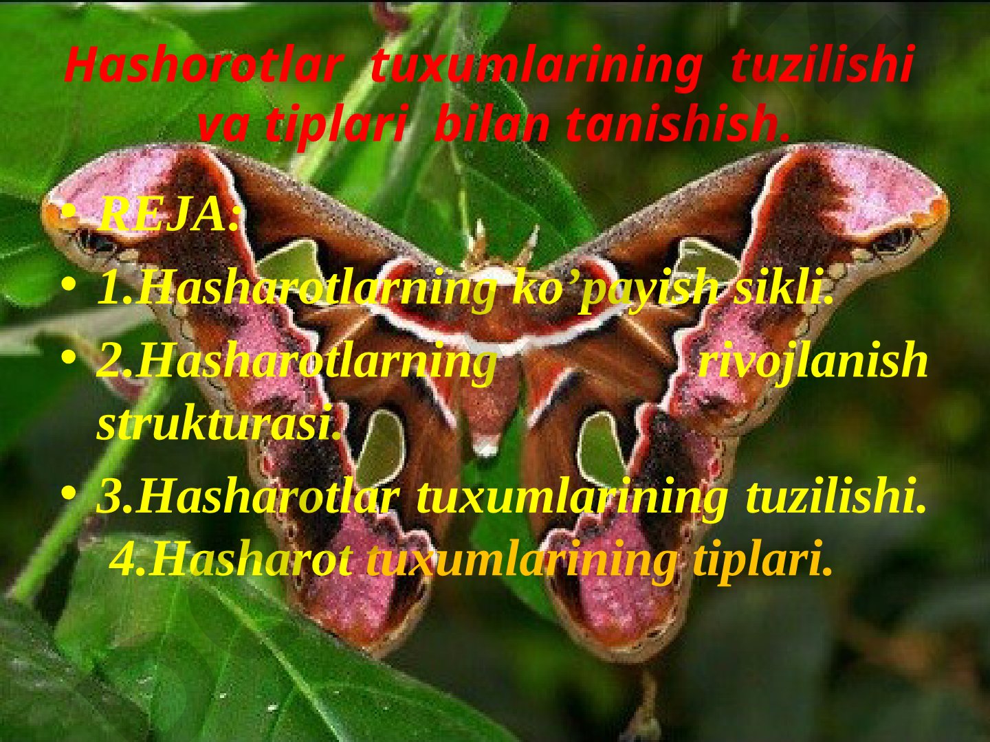 Hashorotlar tuxumlarining tuzilishi va tiplari bilan tanishish