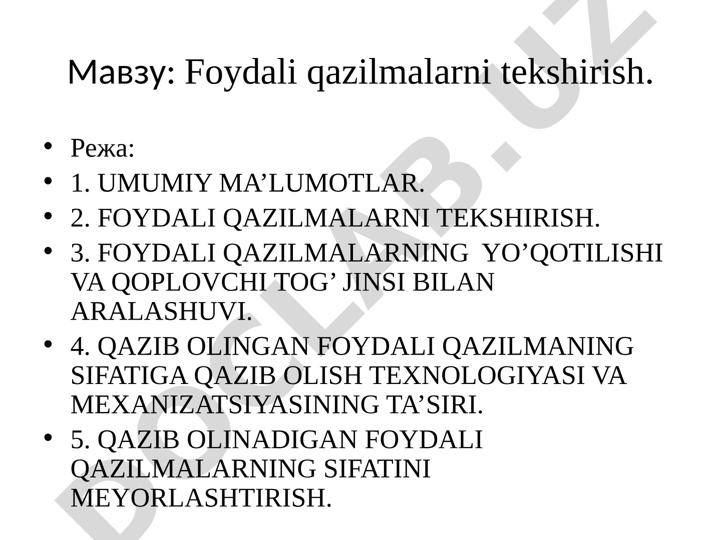 Foydali qazilmalarni tekshirish