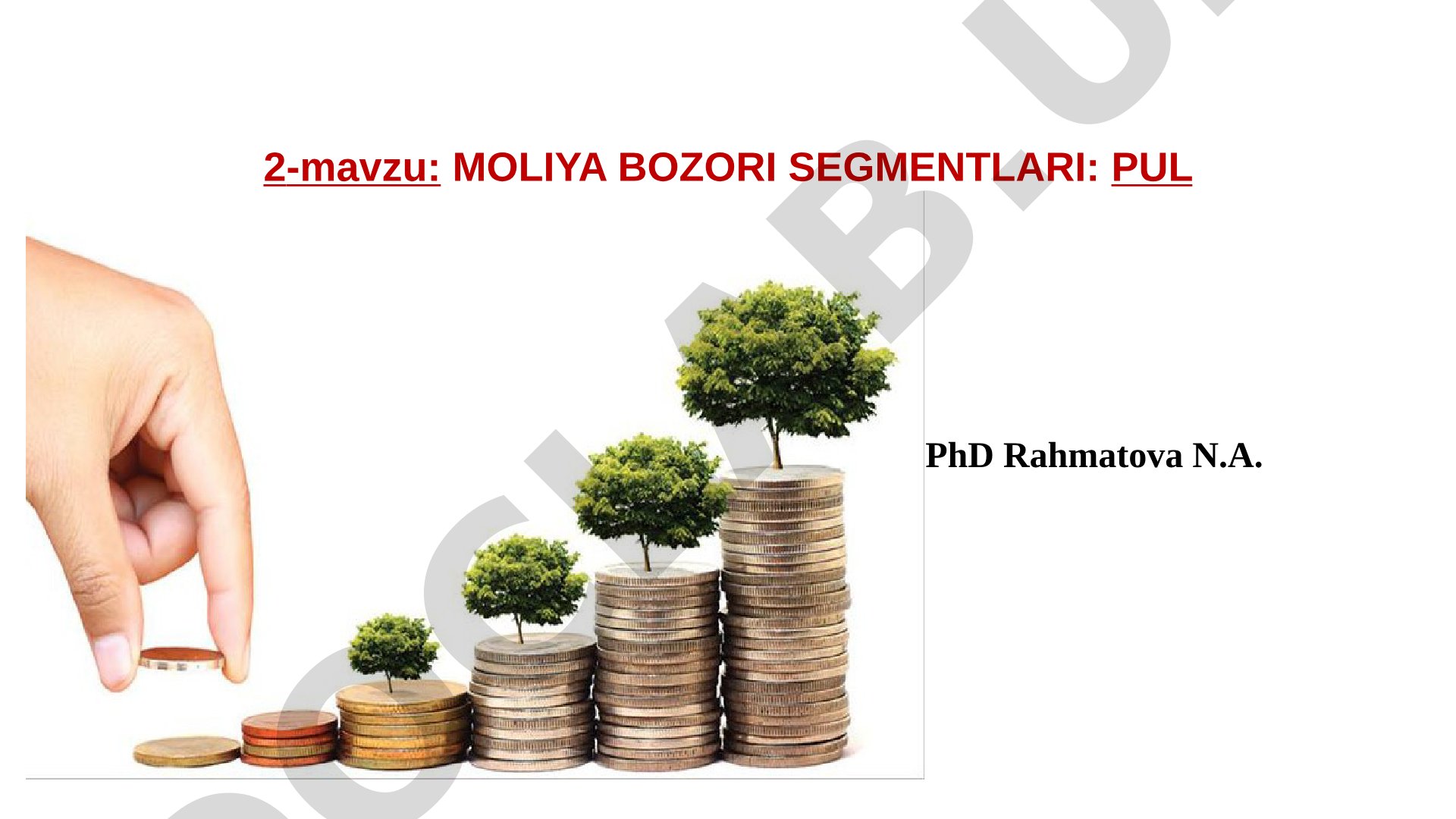 Moliya bozori segmentlari: pul bozori