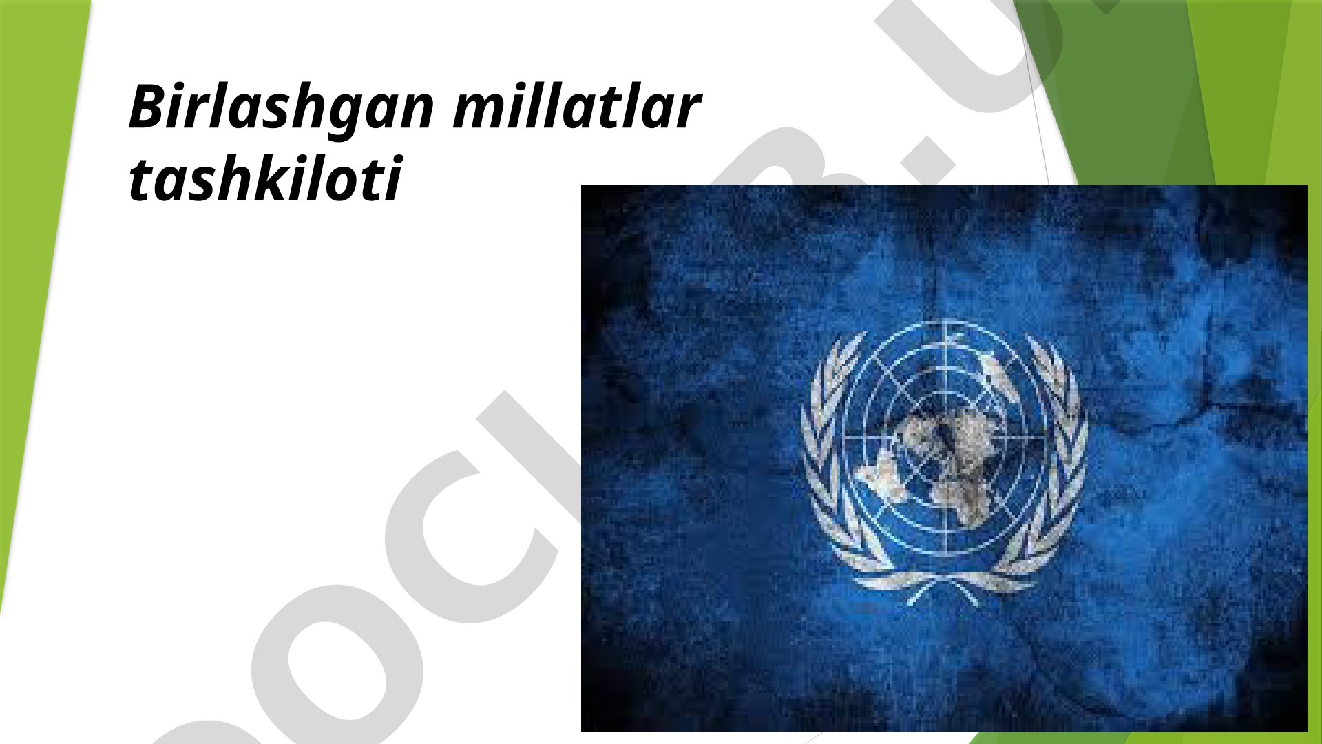 Birlashgan millatlar tashkiloti