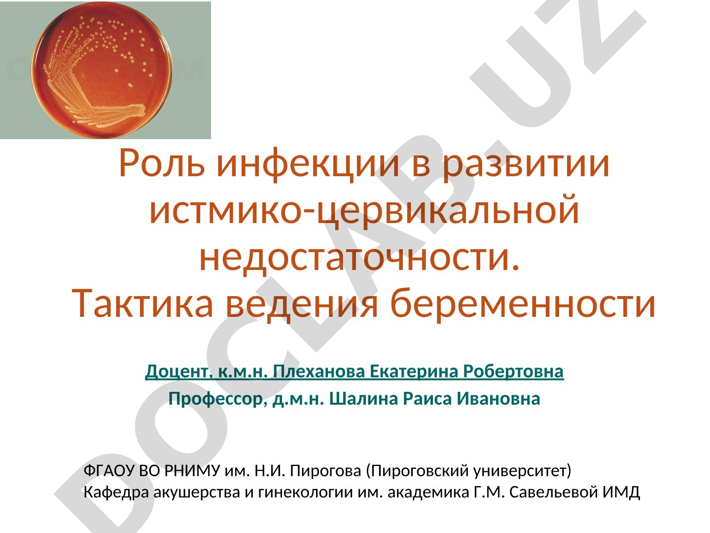 Роль инфекции в развитии истмико-цервикальной недостаточности. Тактика ведения беременности