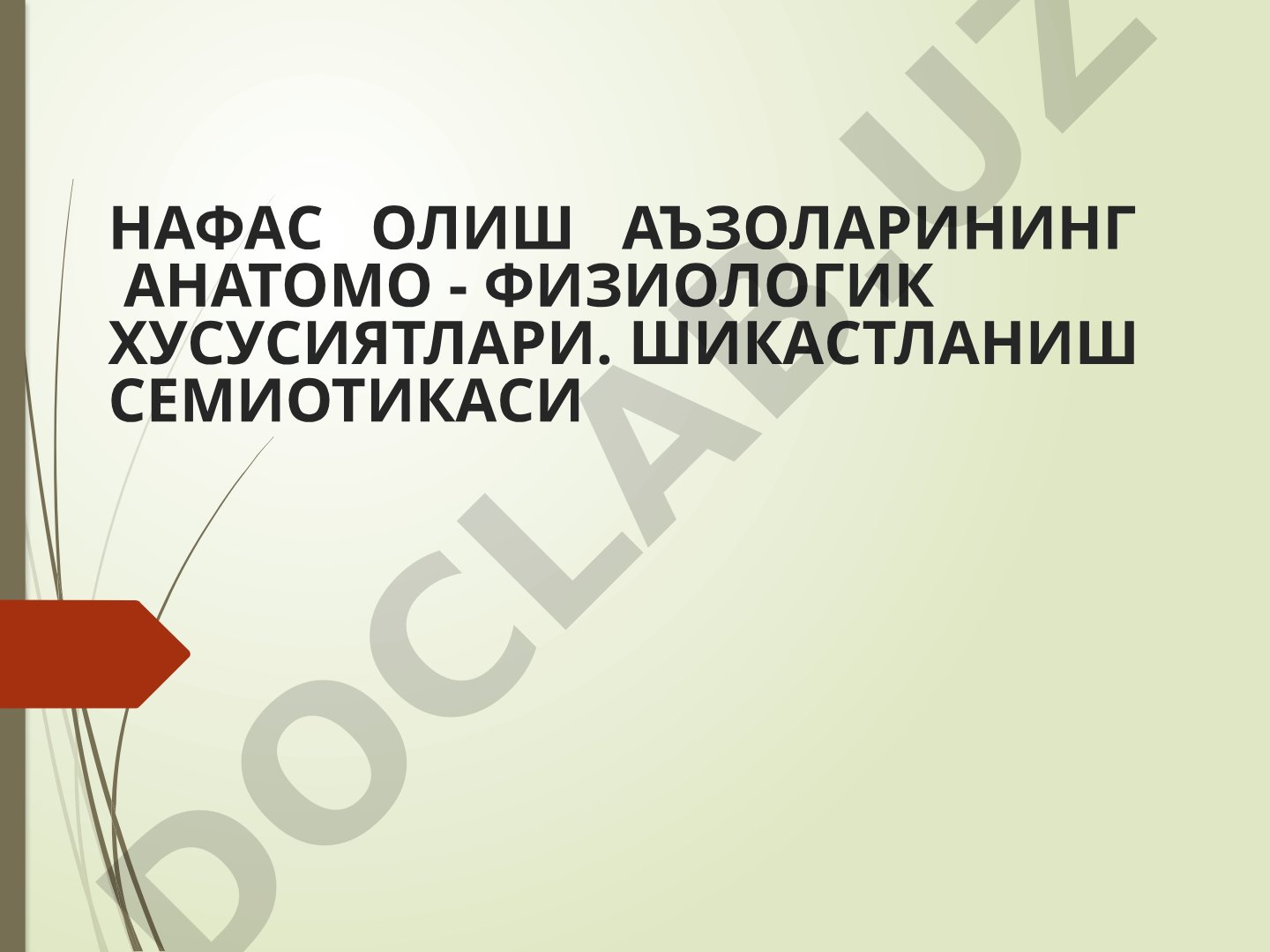 Нафас олиш аъзоларининг анатомо-физиологик хусусиятлари ва шикастланиш семиотикаси